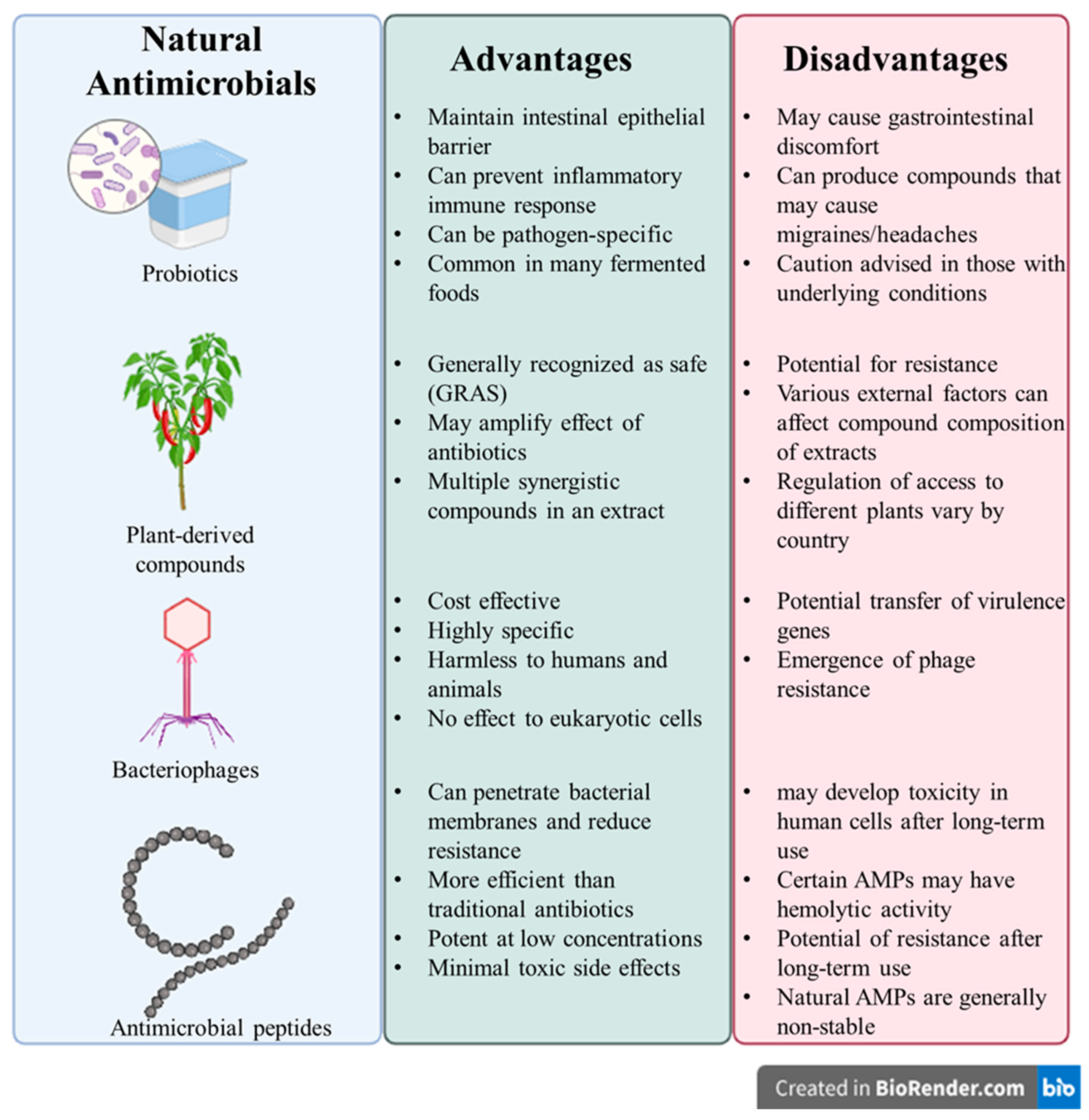 Microorganisms 13 01732 g003 Microorganisms 13 01732 g003