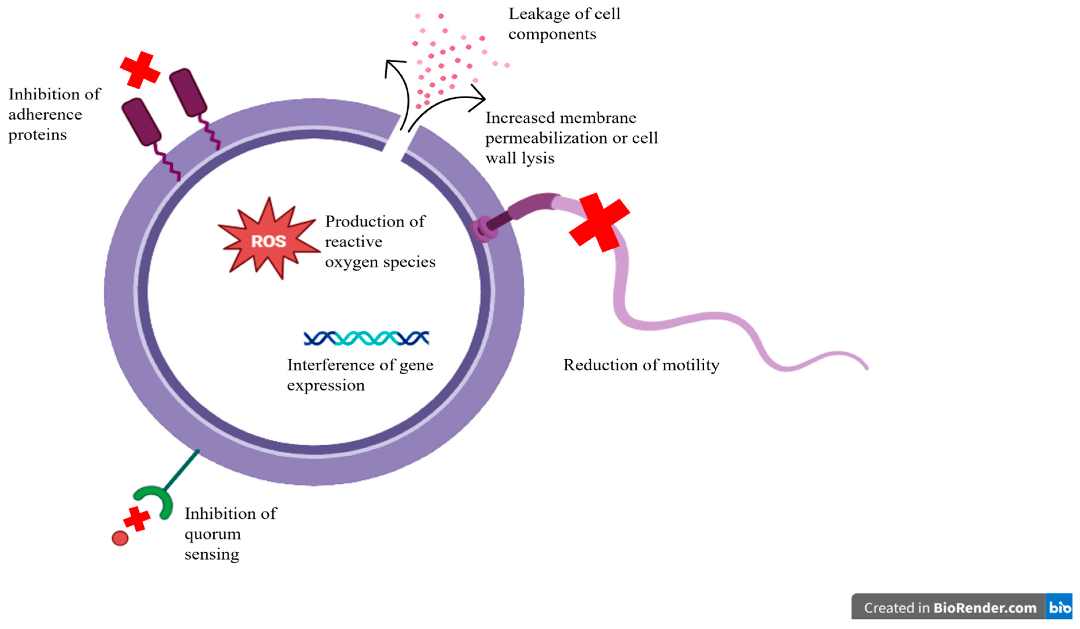 Microorganisms 13 01732 g004 Microorganisms 13 01732 g004