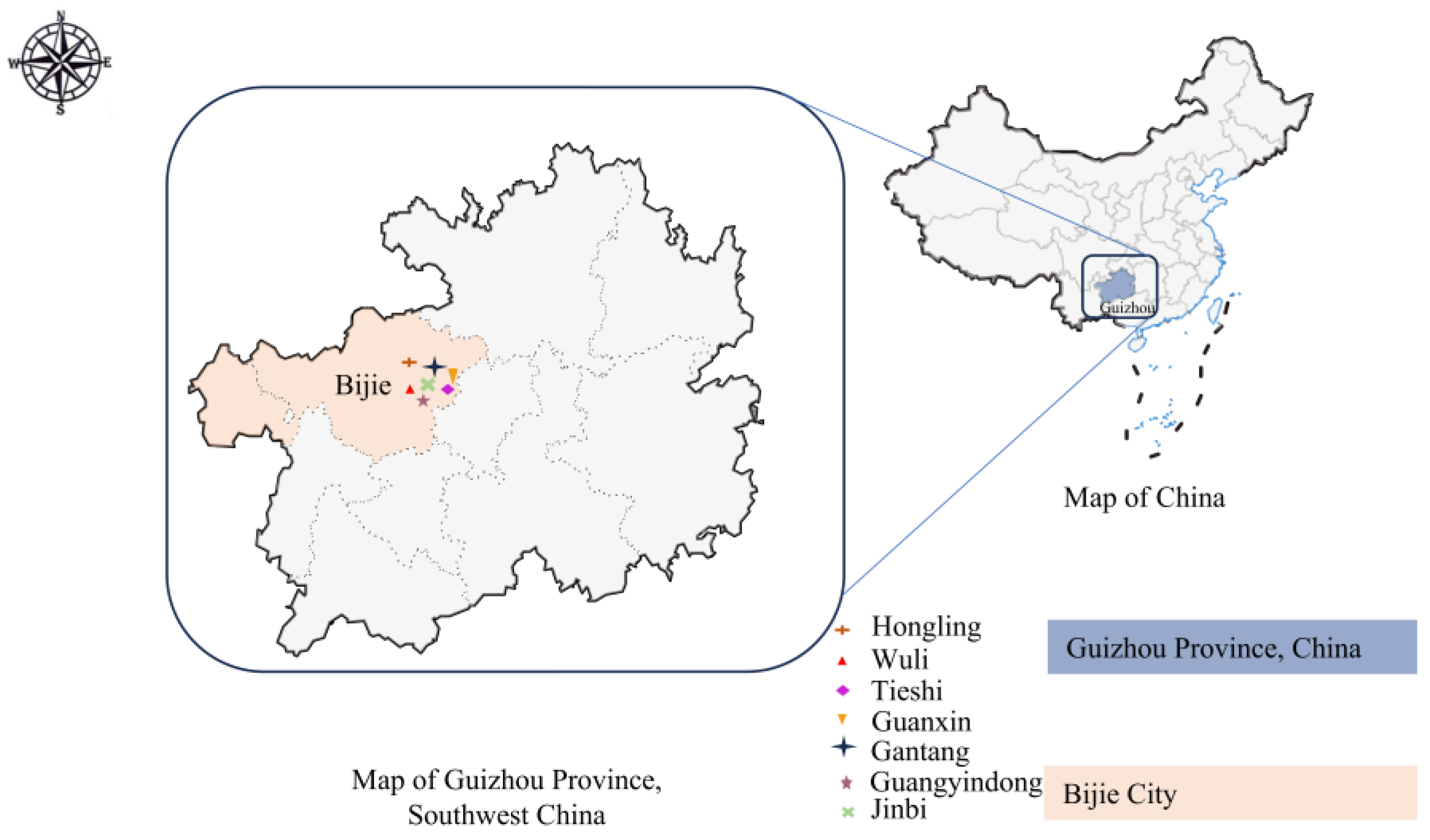 Microorganisms 13 01735 g001