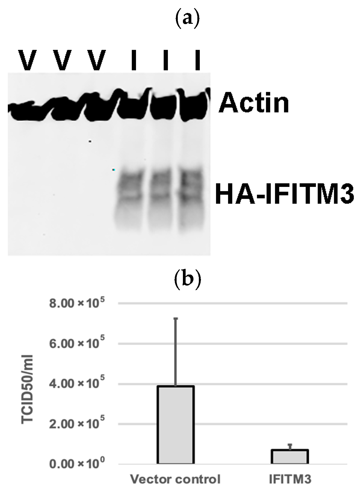 Microorganisms 13 01737 g001a