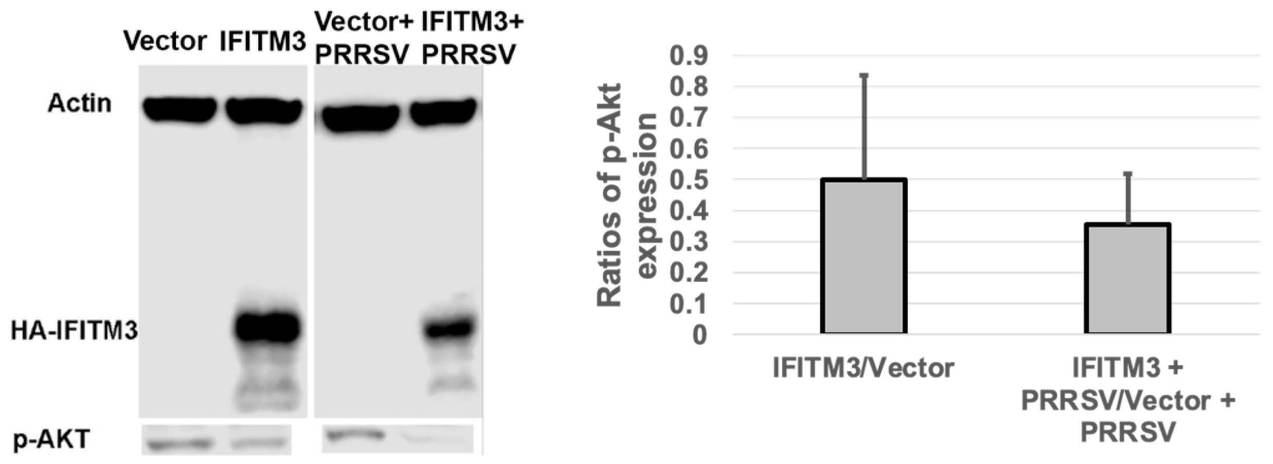 Microorganisms 13 01737 g007