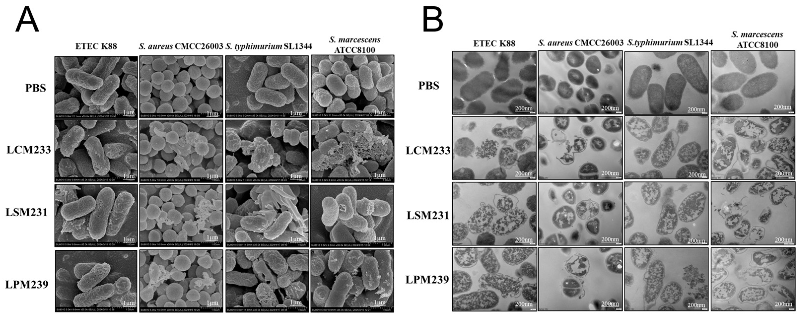 Microorganisms 13 01738 g003