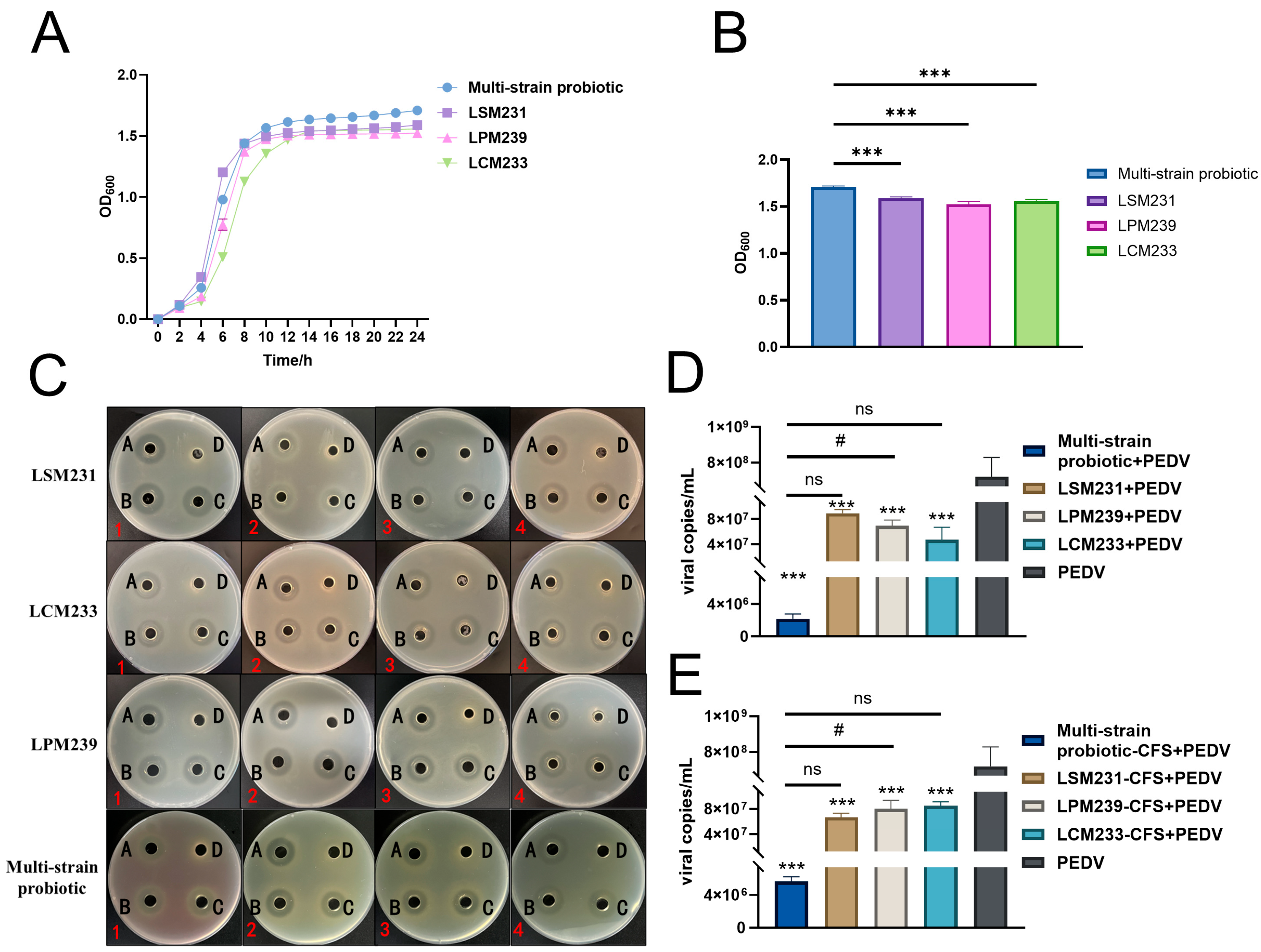 Microorganisms 13 01738 g004