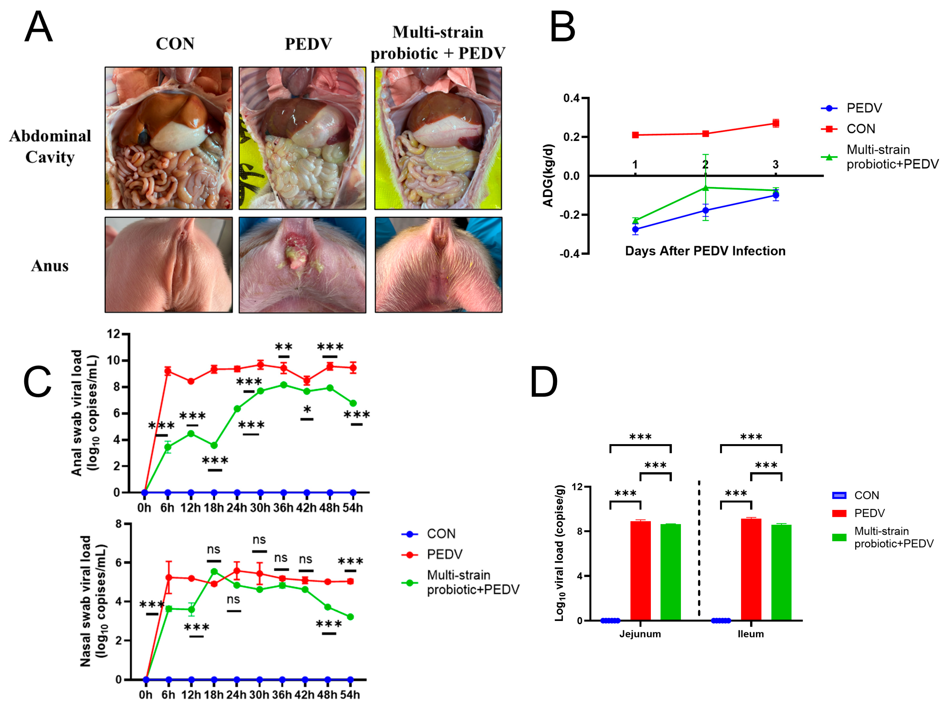 Microorganisms 13 01738 g005