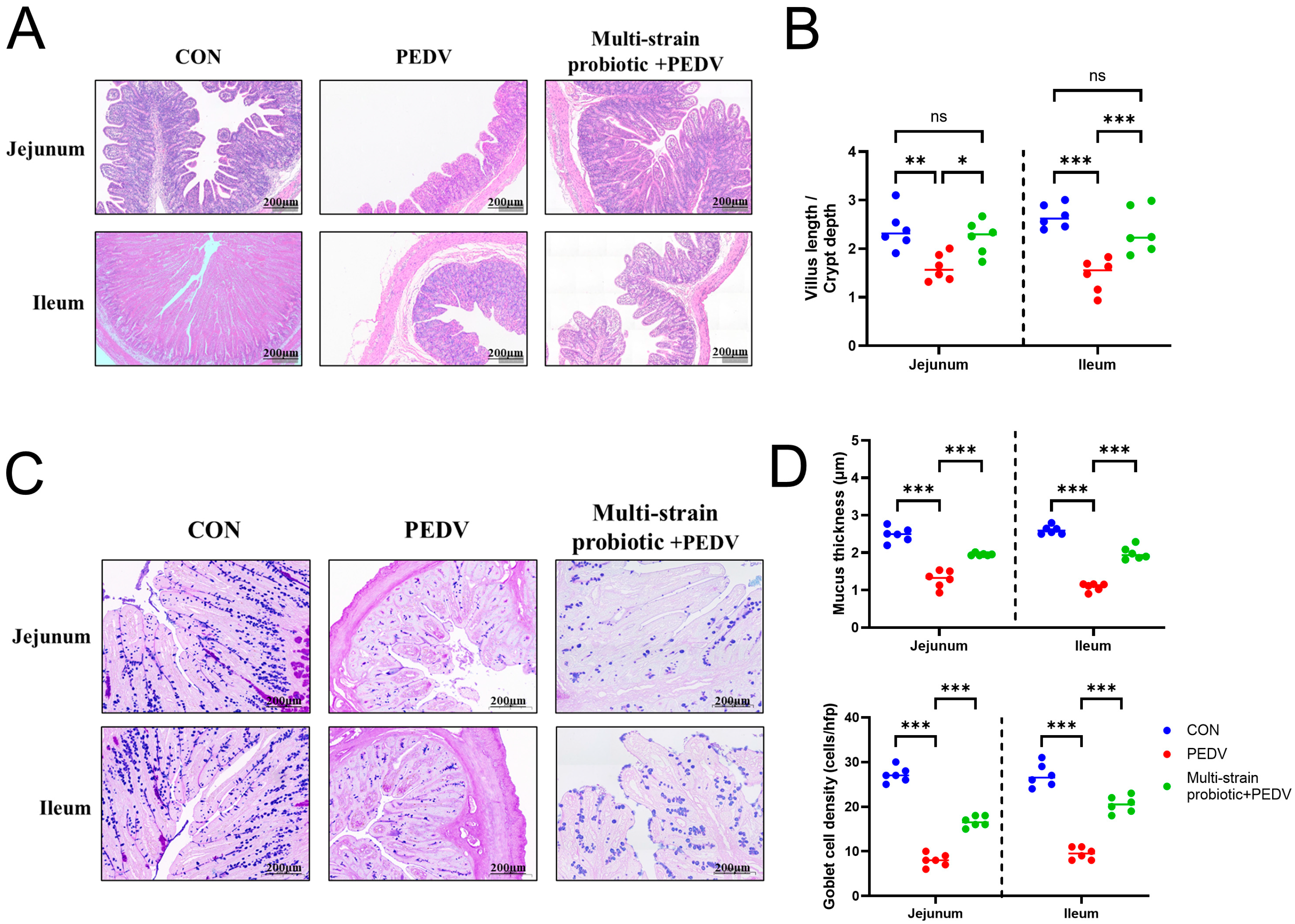 Microorganisms 13 01738 g007