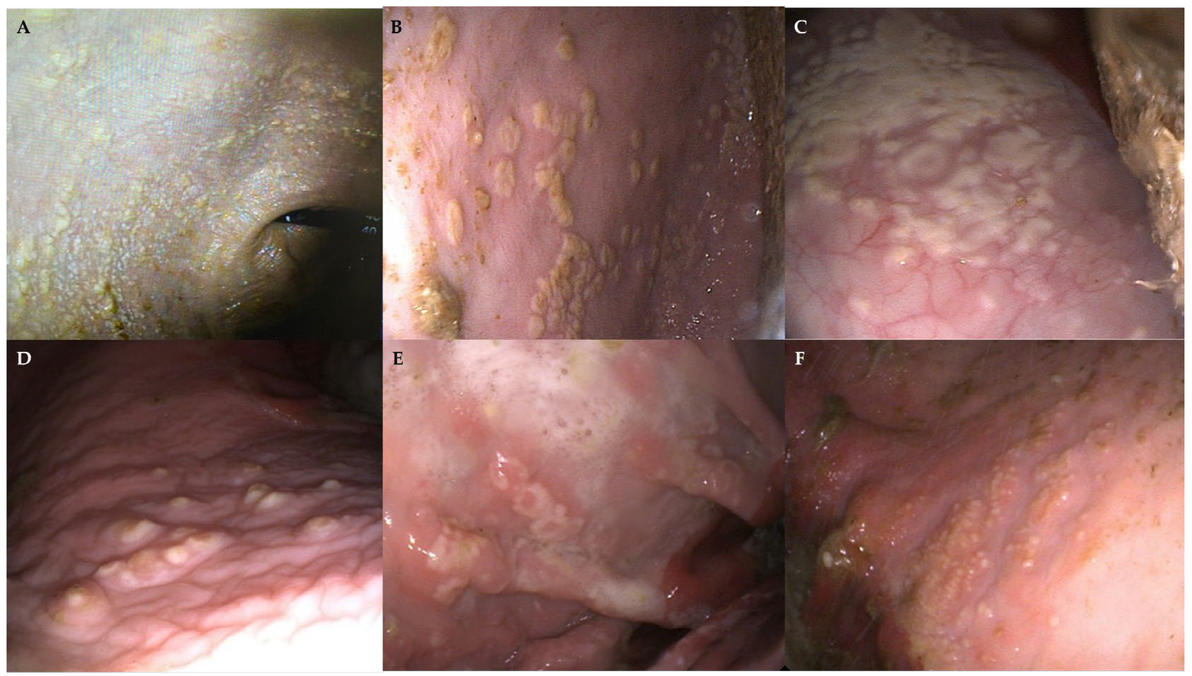 Microorganisms 13 01746 g001