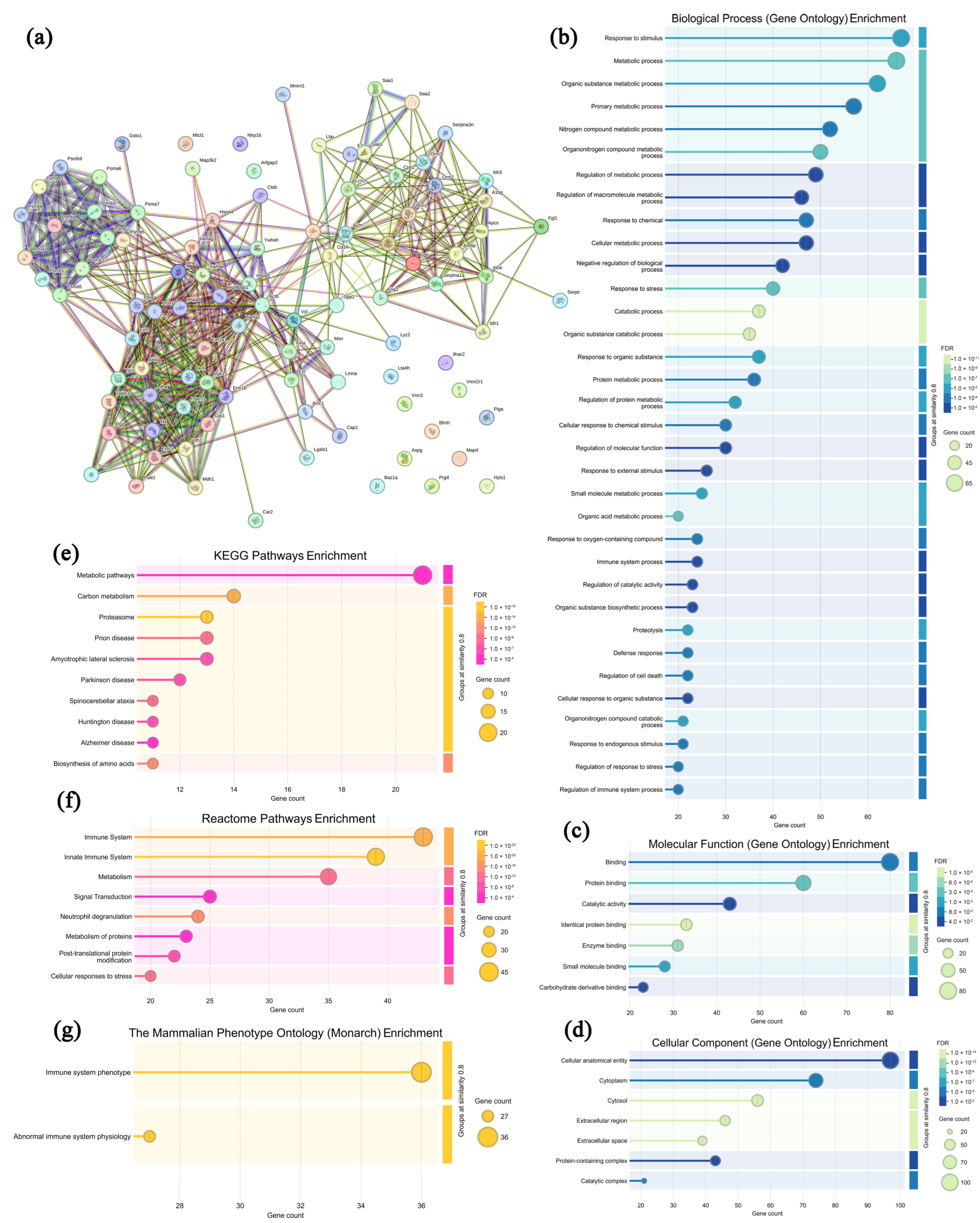 Microorganisms 13 01750 g005