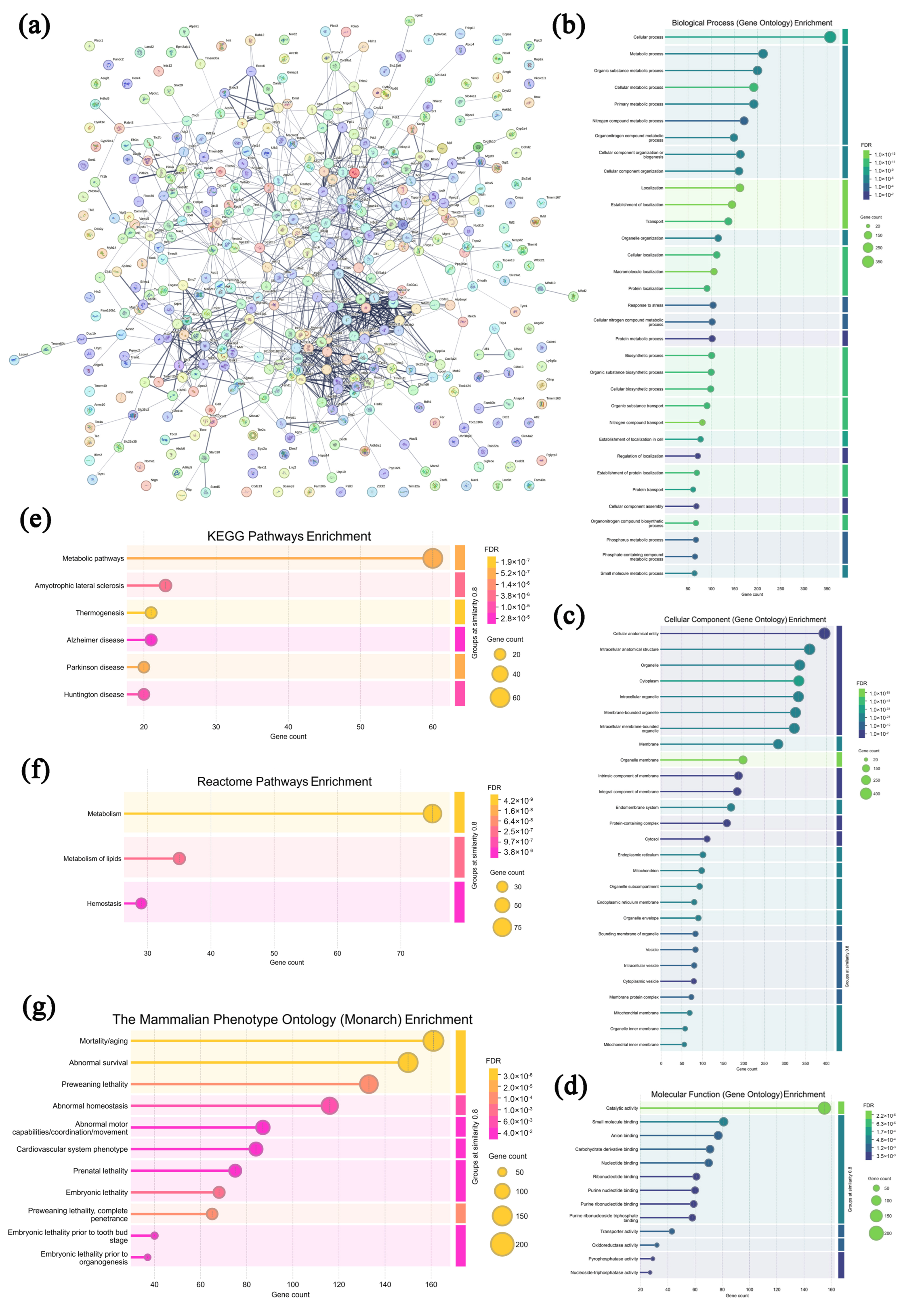 Microorganisms 13 01750 g007
