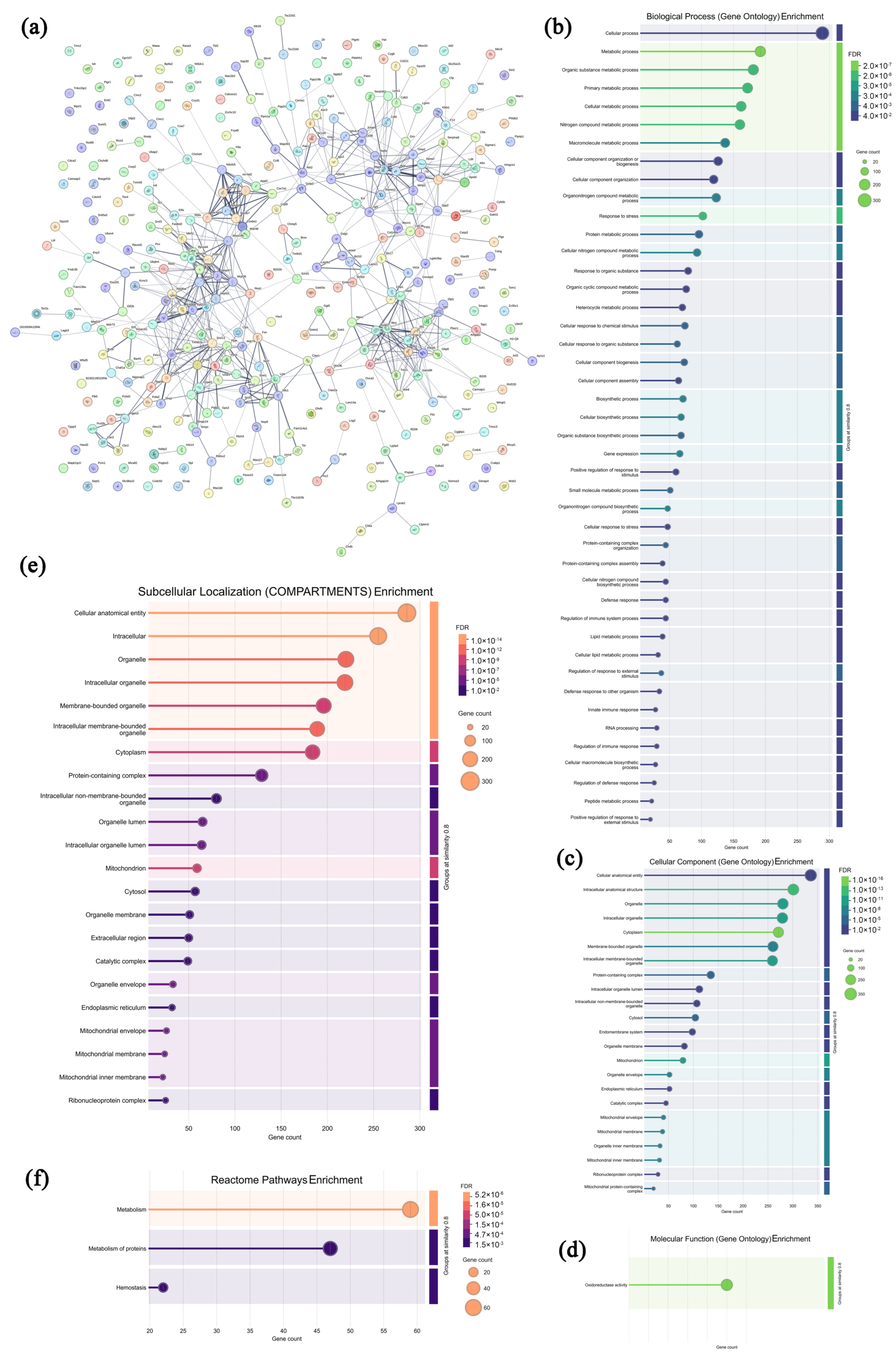 Microorganisms 13 01750 g010