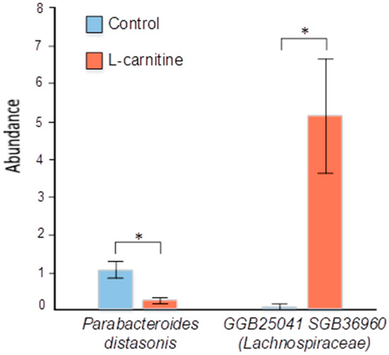 acetyl l carnitine gut motility MotilPro