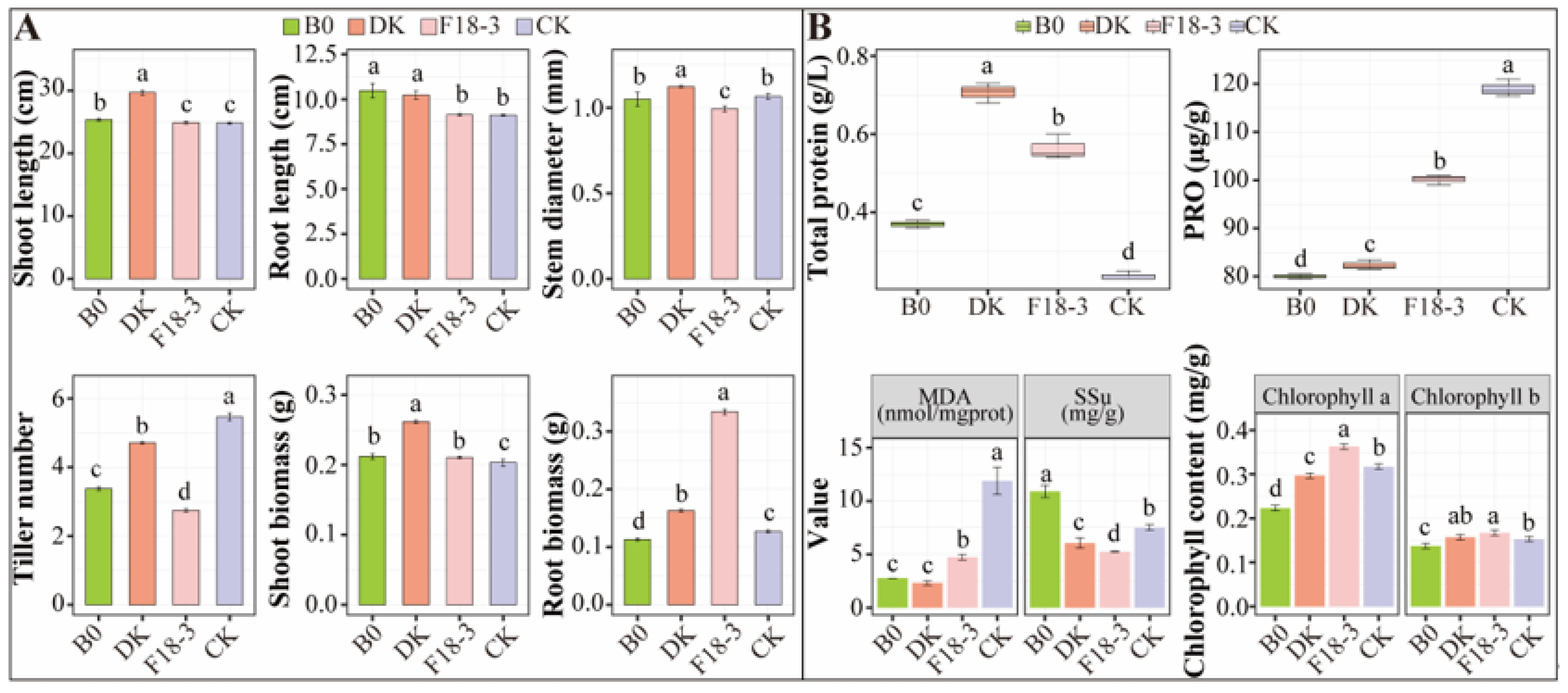 Microorganisms 13 01752 g001