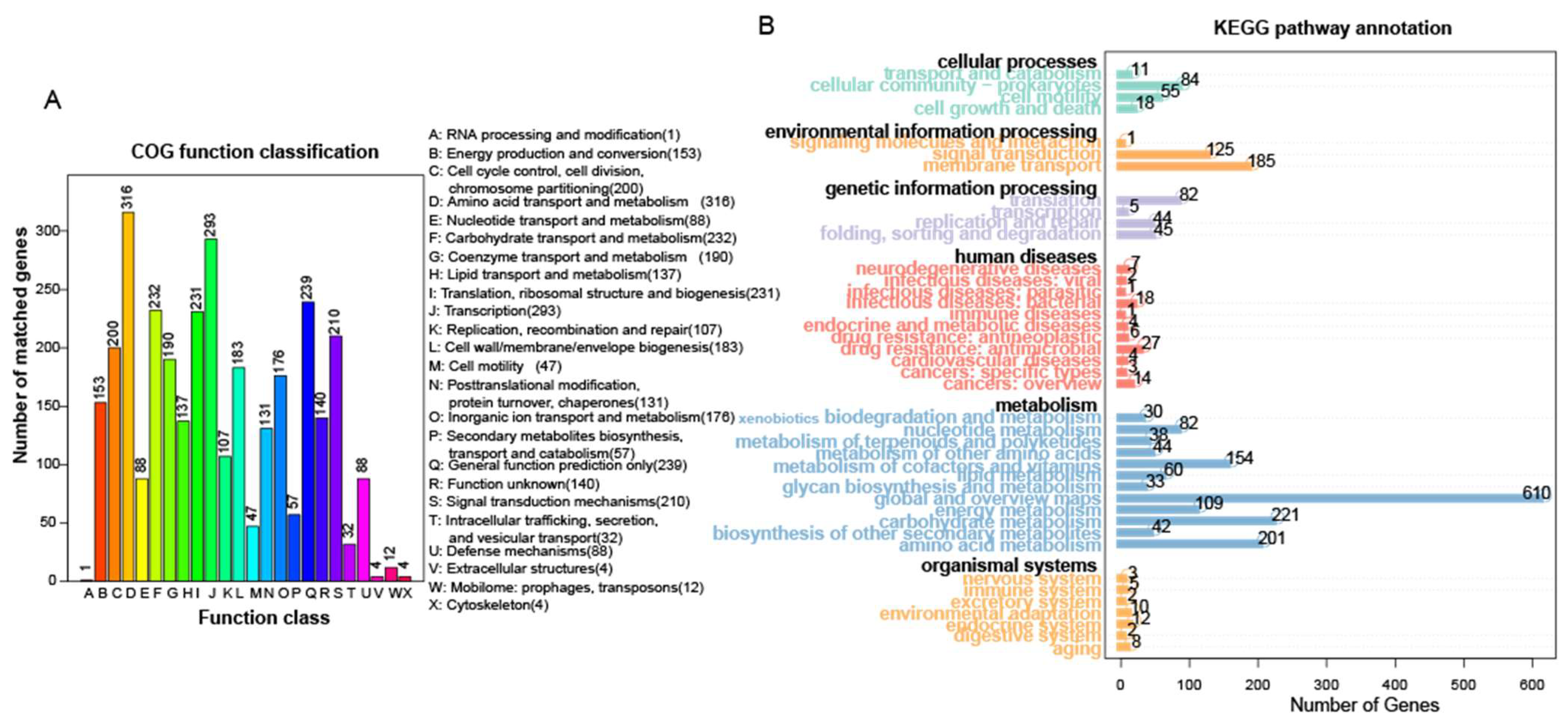 Microorganisms 13 01754 g005