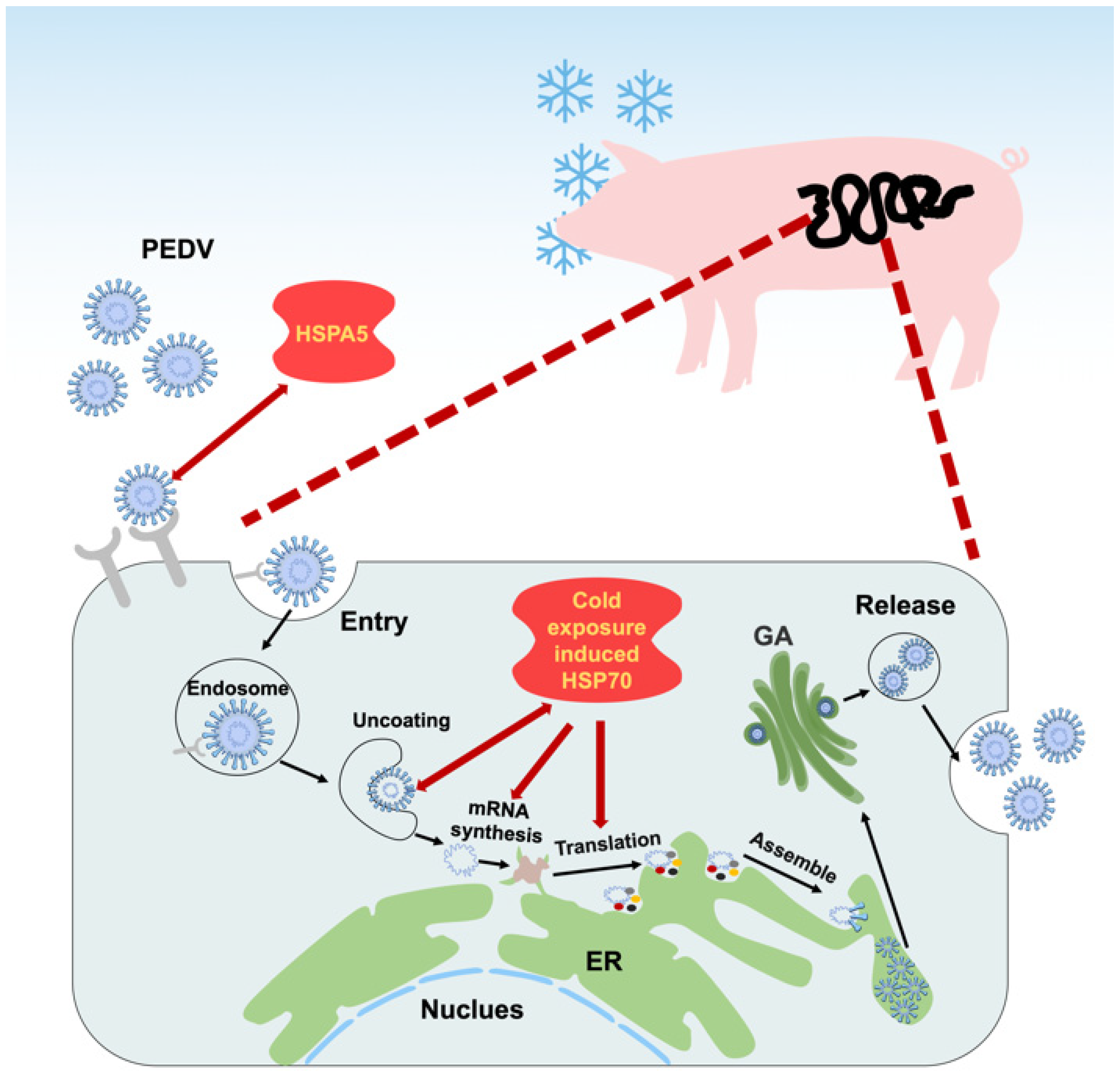 Microorganisms 13 01755 g002