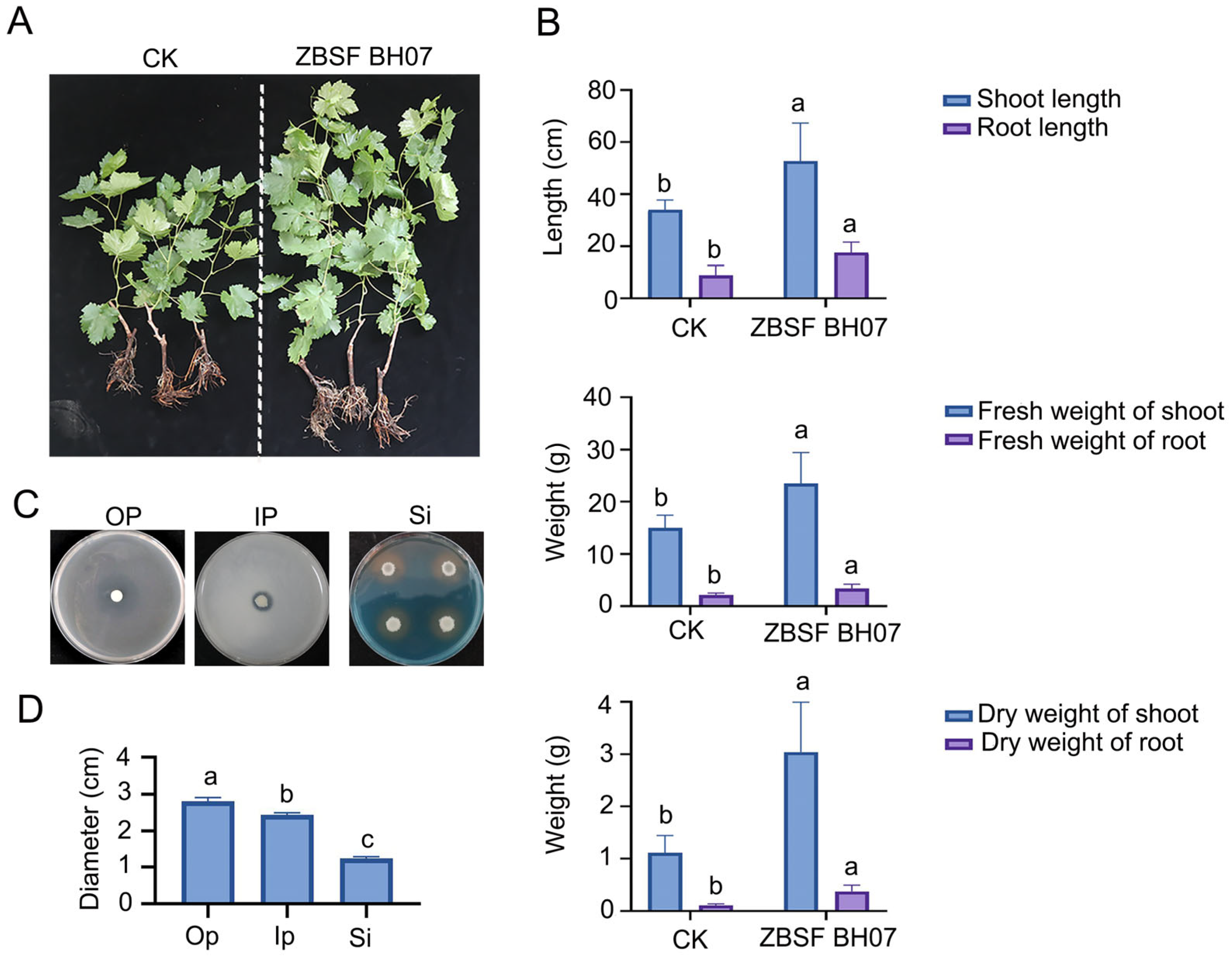 Microorganisms 13 01756 g003