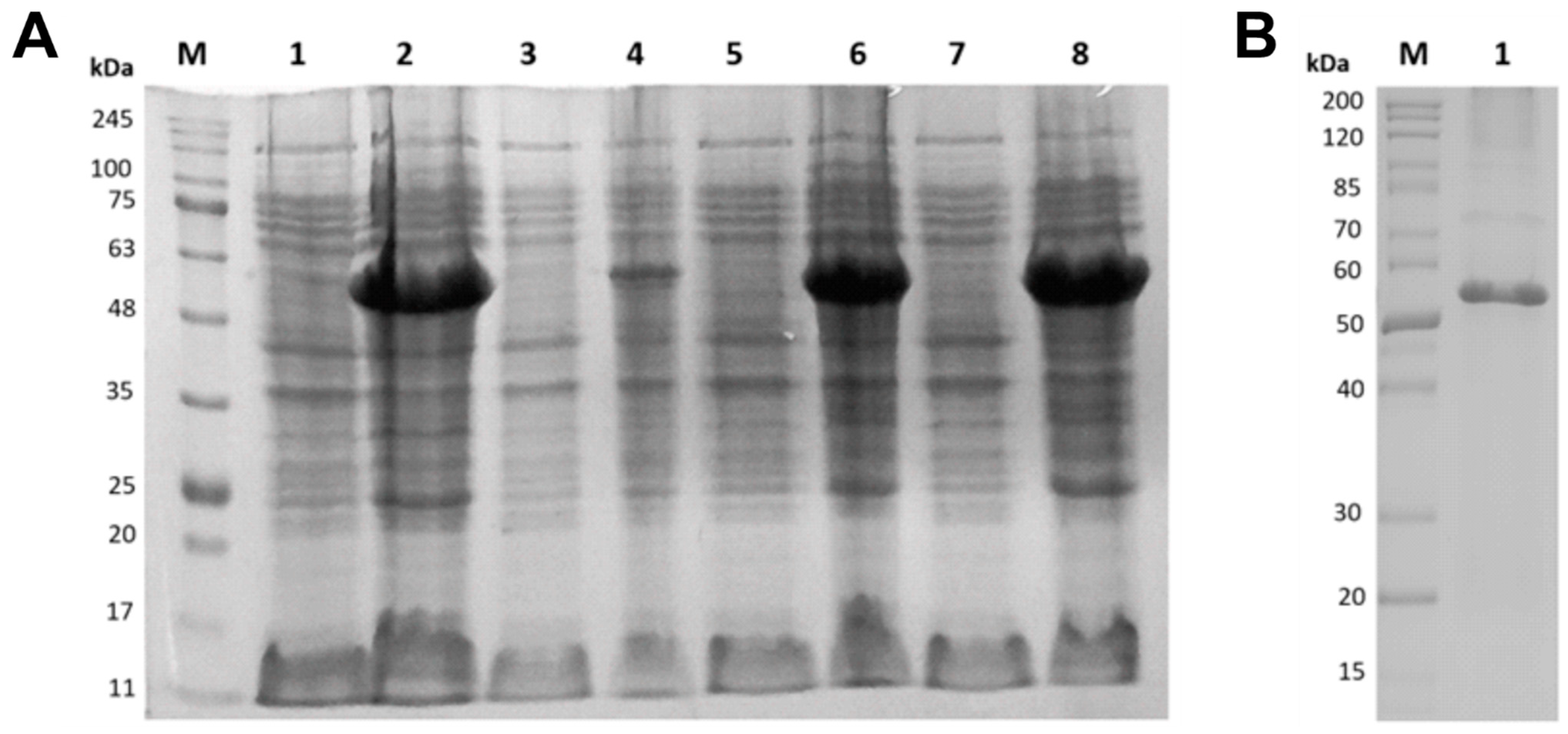 Microorganisms 13 01757 g003