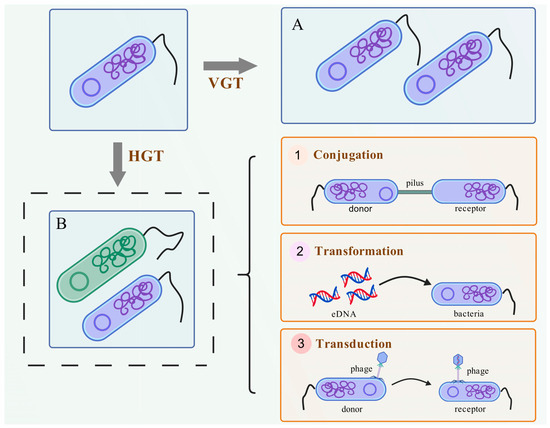 Antibiotics and Antibiotic Resistance Genes in the