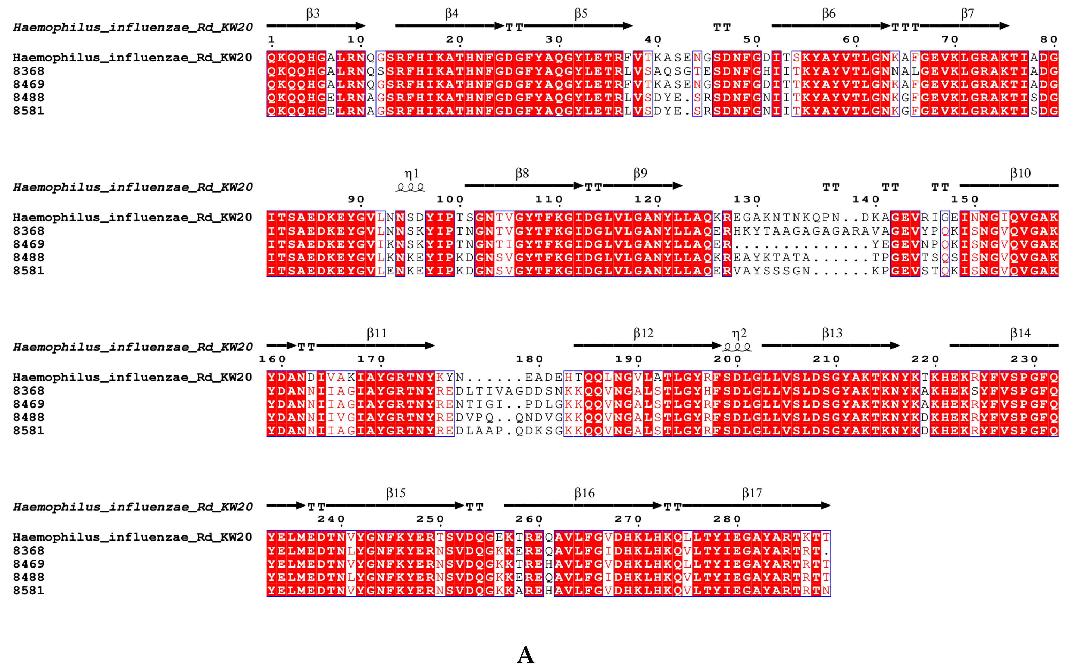 Microorganisms 13 01764 g002a