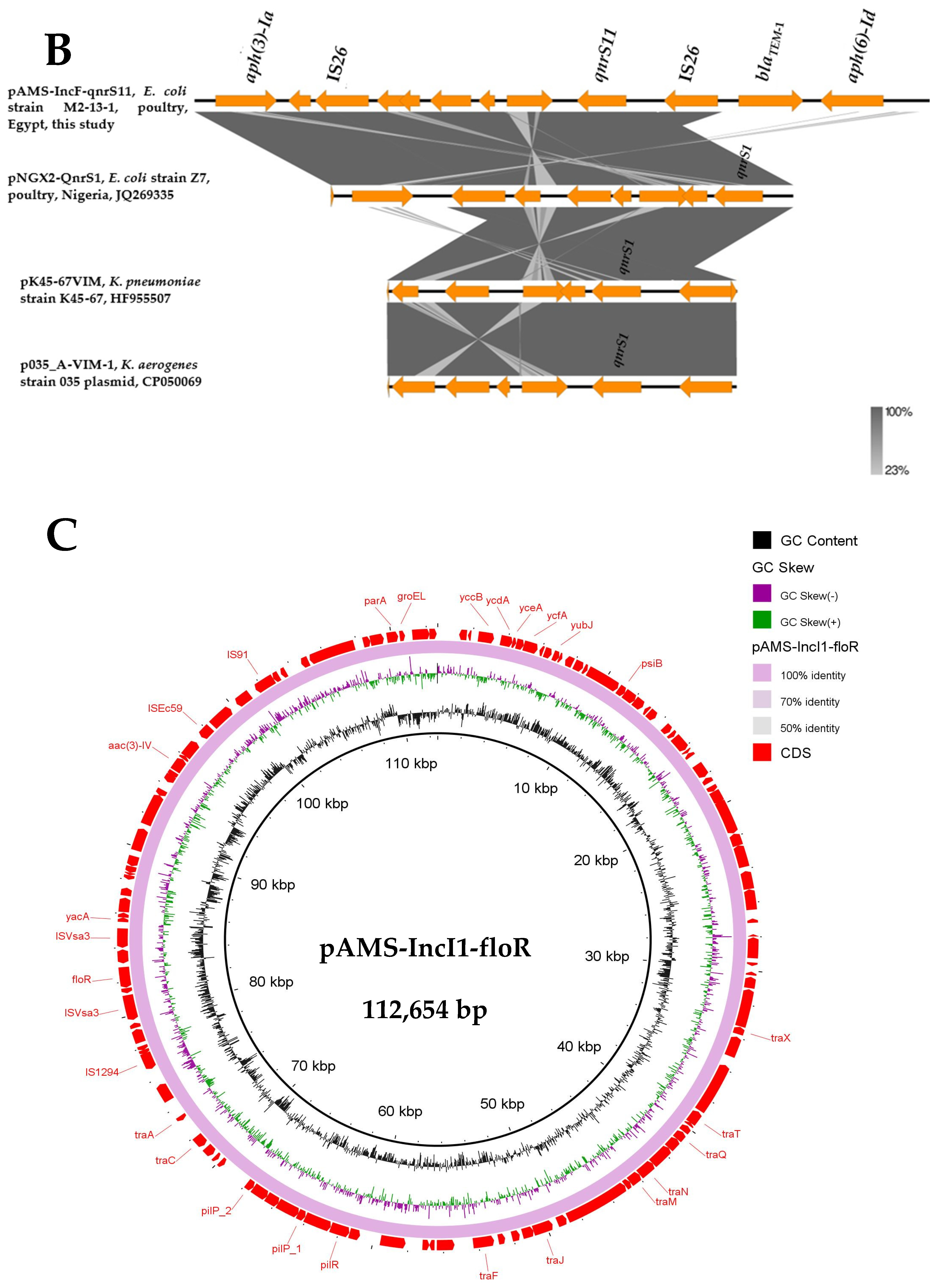 Microorganisms 13 01769 g002b
