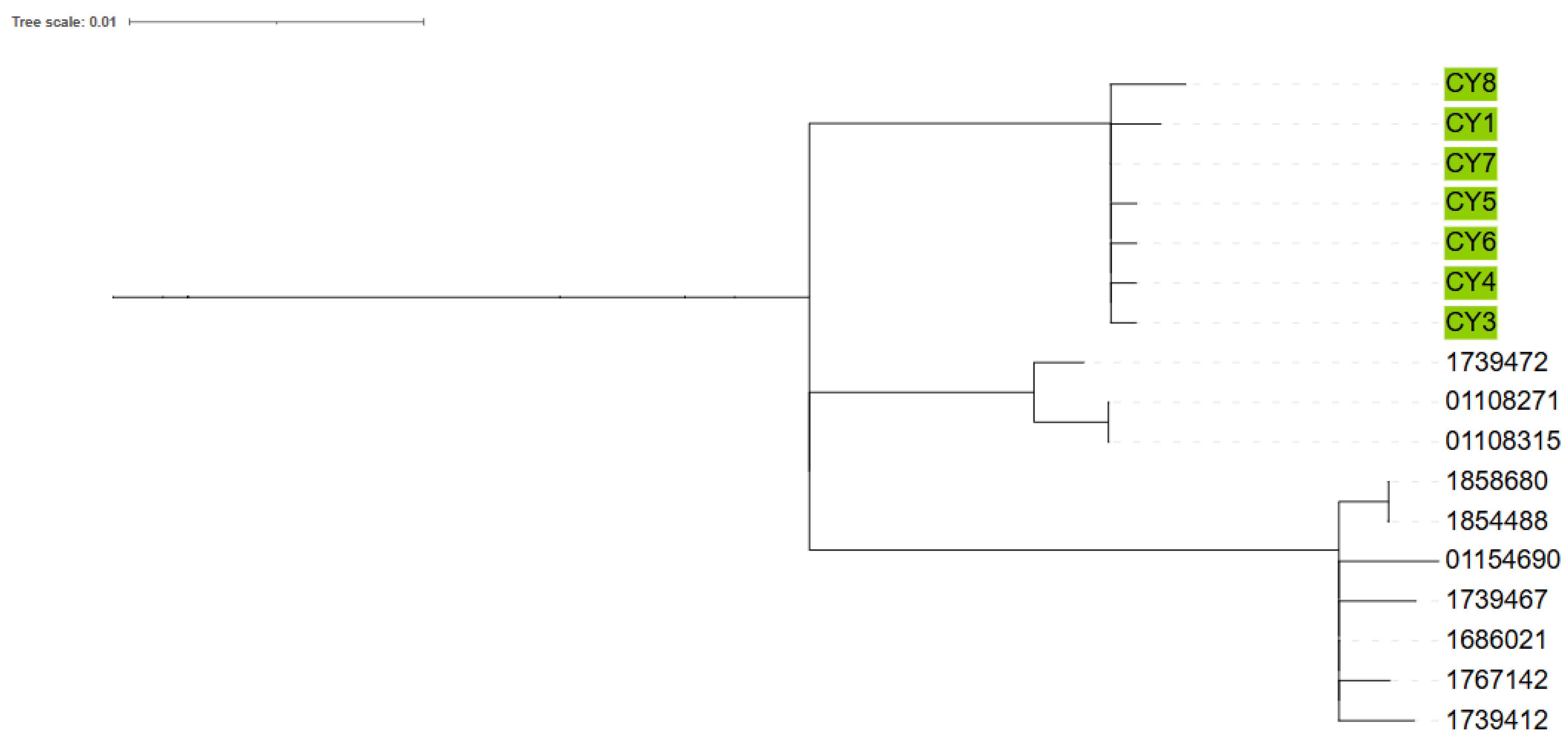 Microorganisms 13 01783 g002