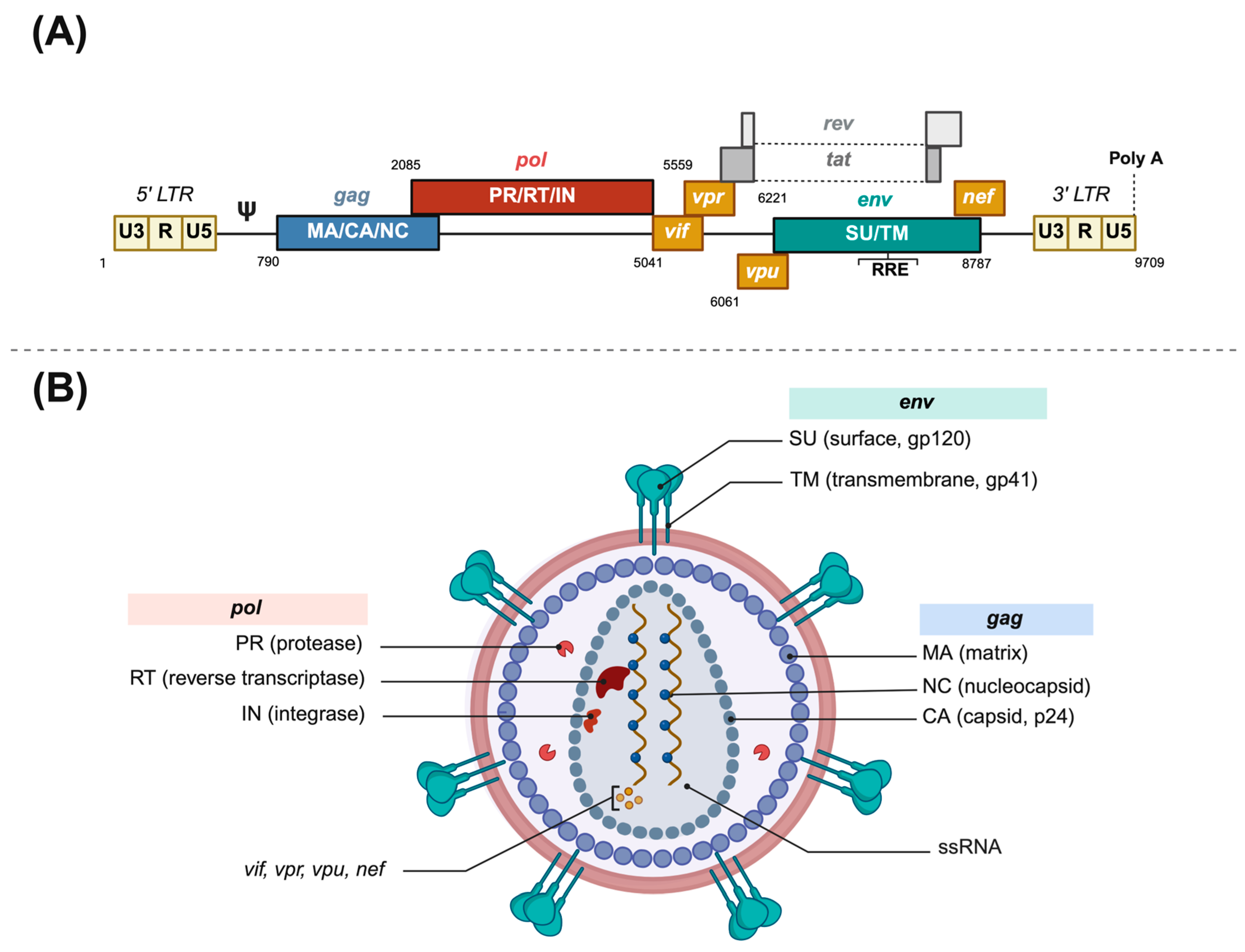 Microorganisms 13 01785 g001
