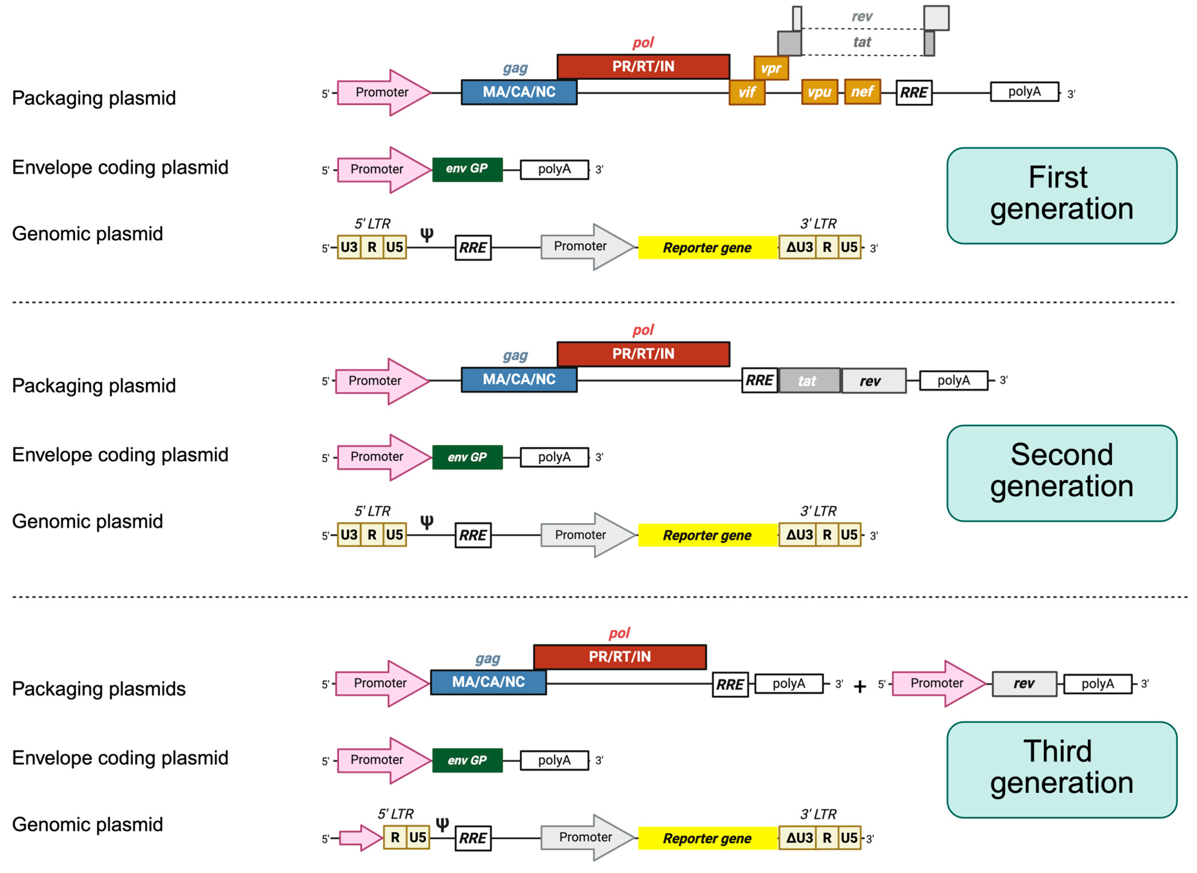 Microorganisms 13 01785 g002