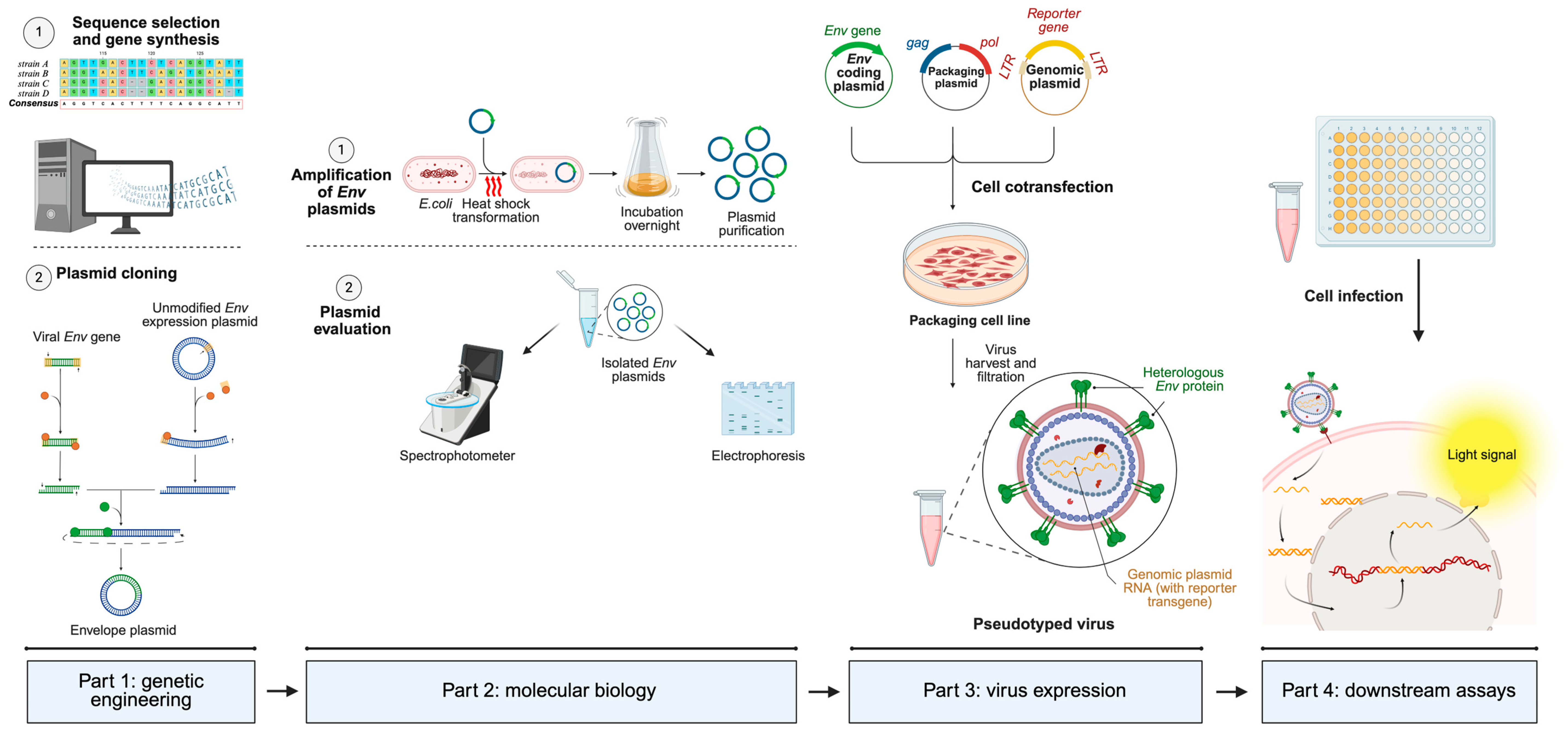 Microorganisms 13 01785 g003