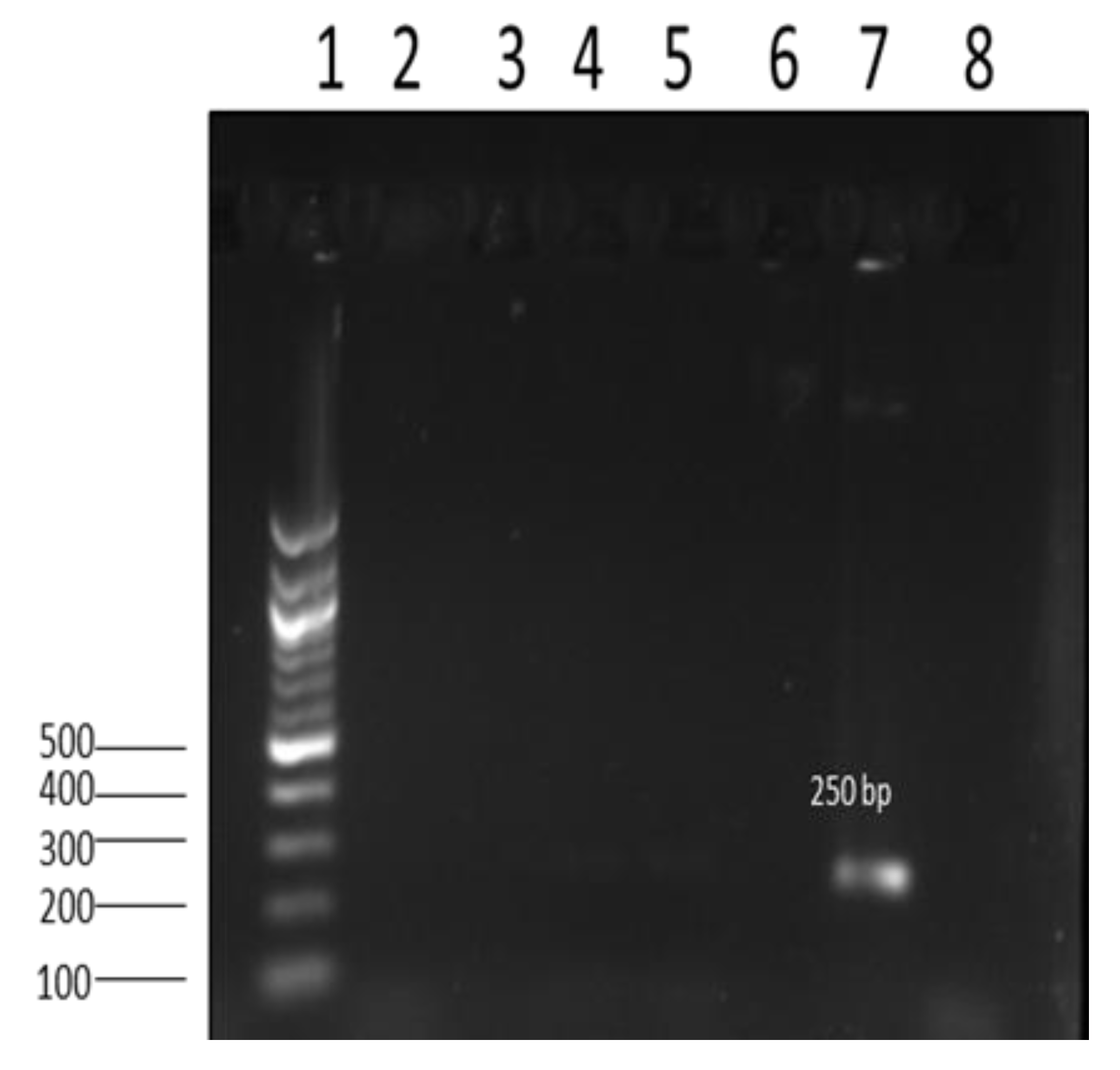 Microorganisms 13 01786 g004