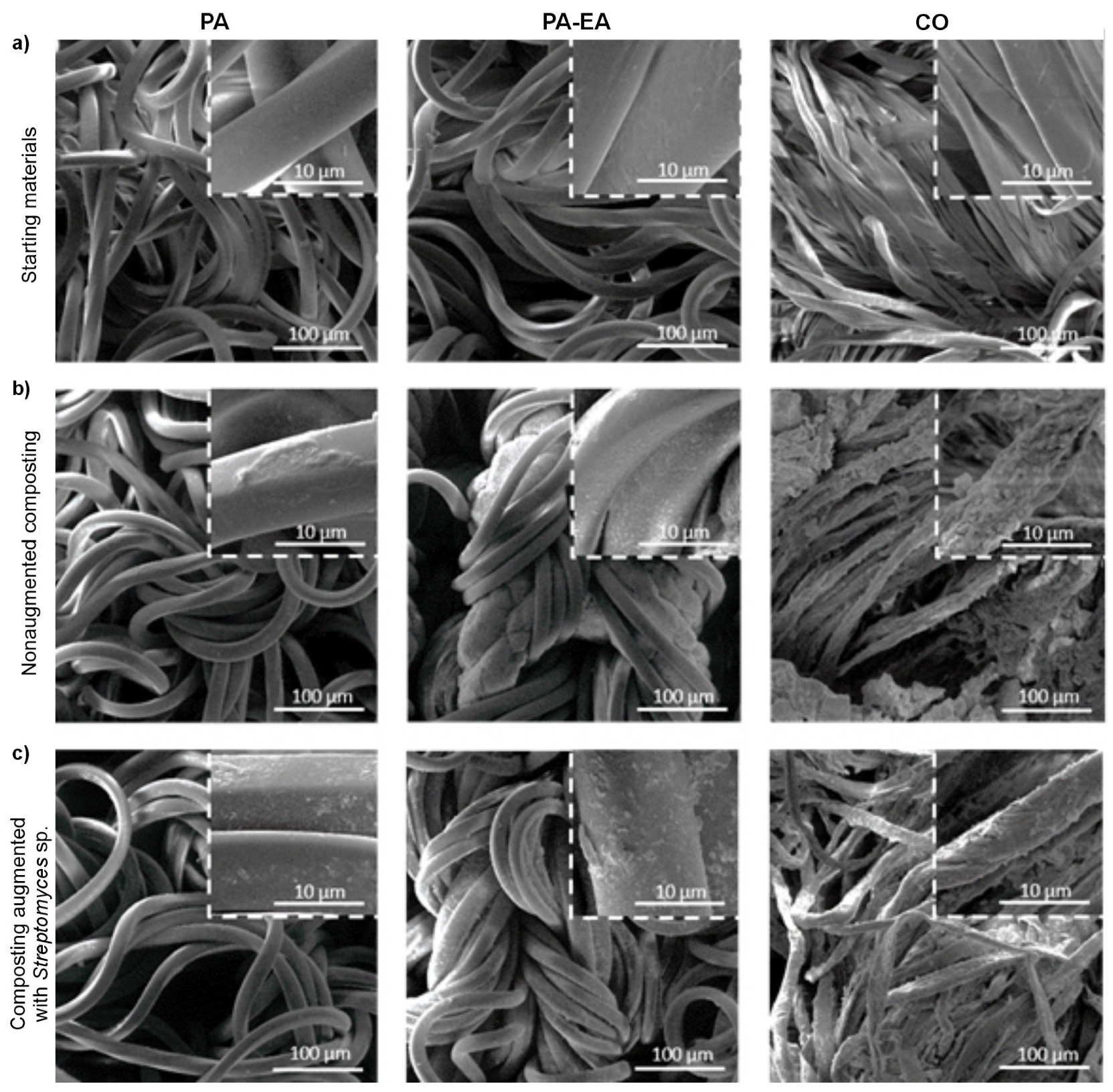 Microorganisms 13 01800 g004