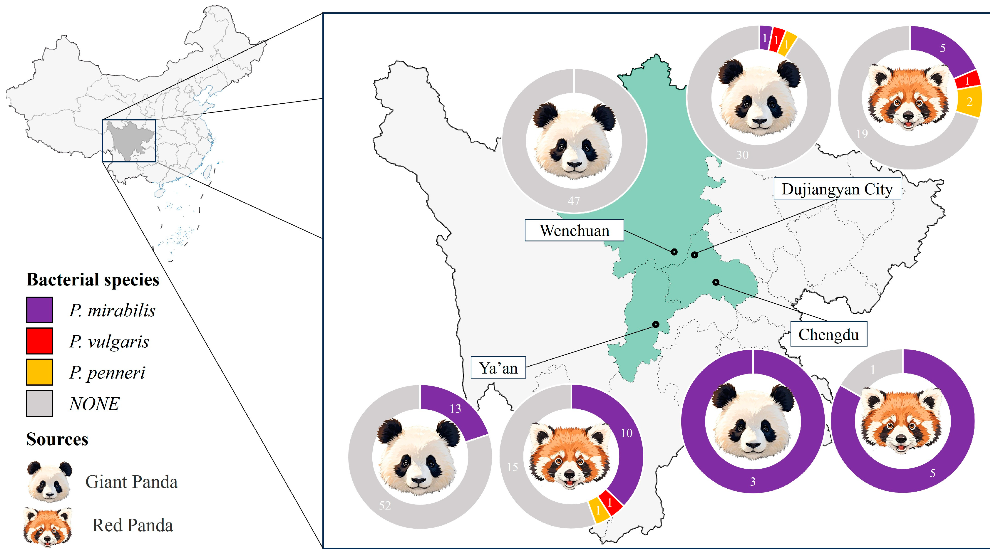 Microorganisms 13 01802 g001