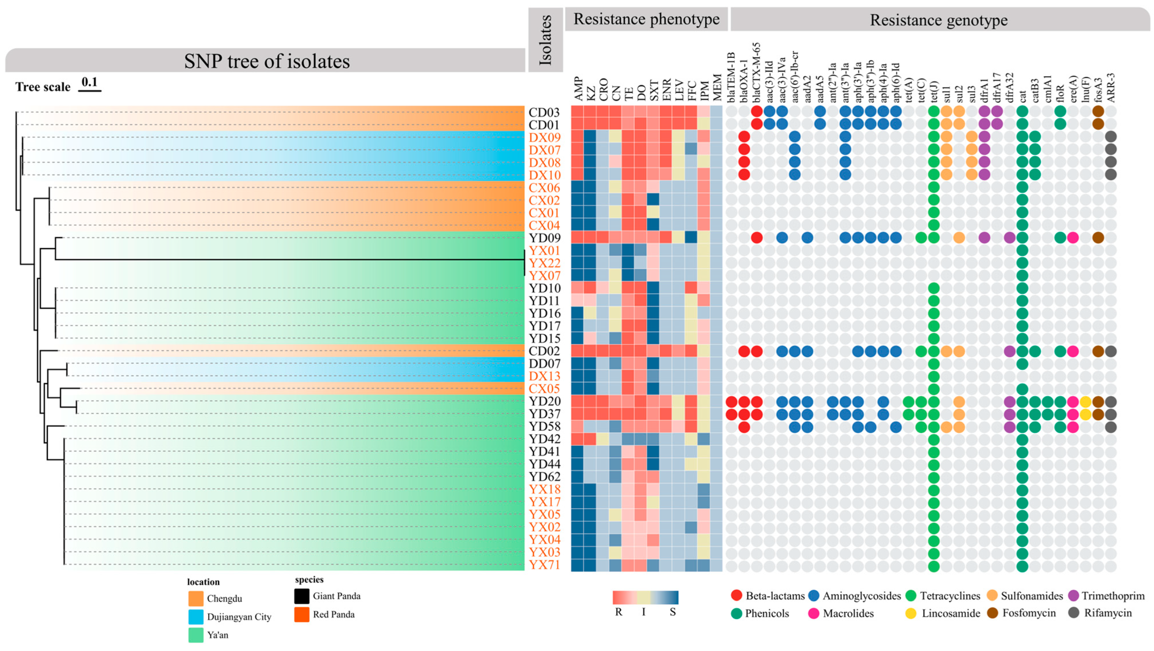 Microorganisms 13 01802 g004