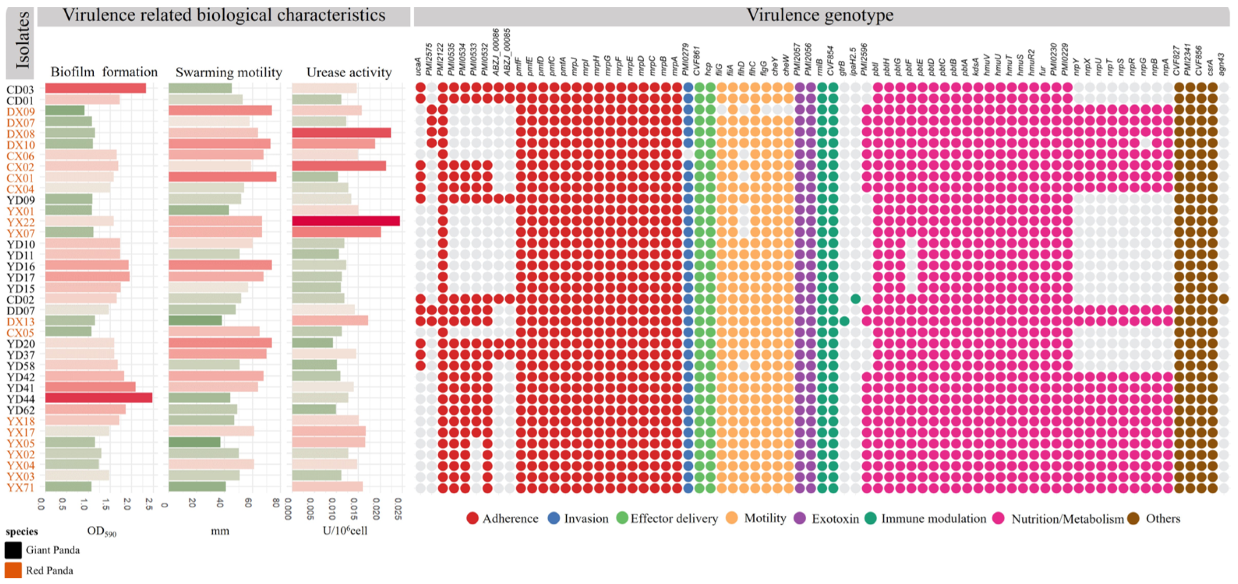 Microorganisms 13 01802 g005