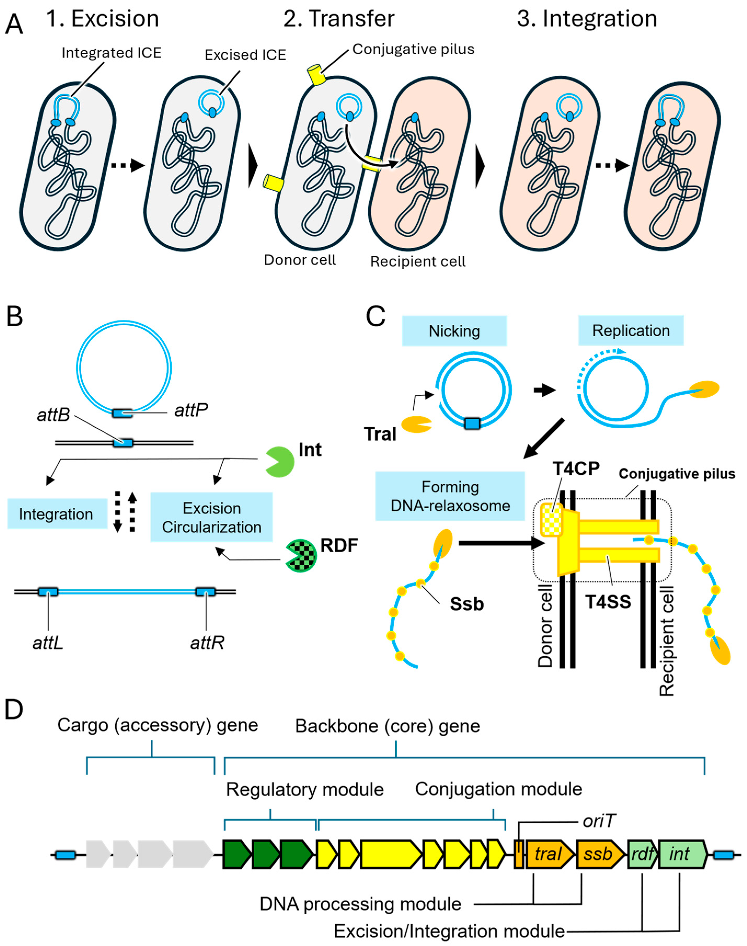 Microorganisms 13 01803 g001