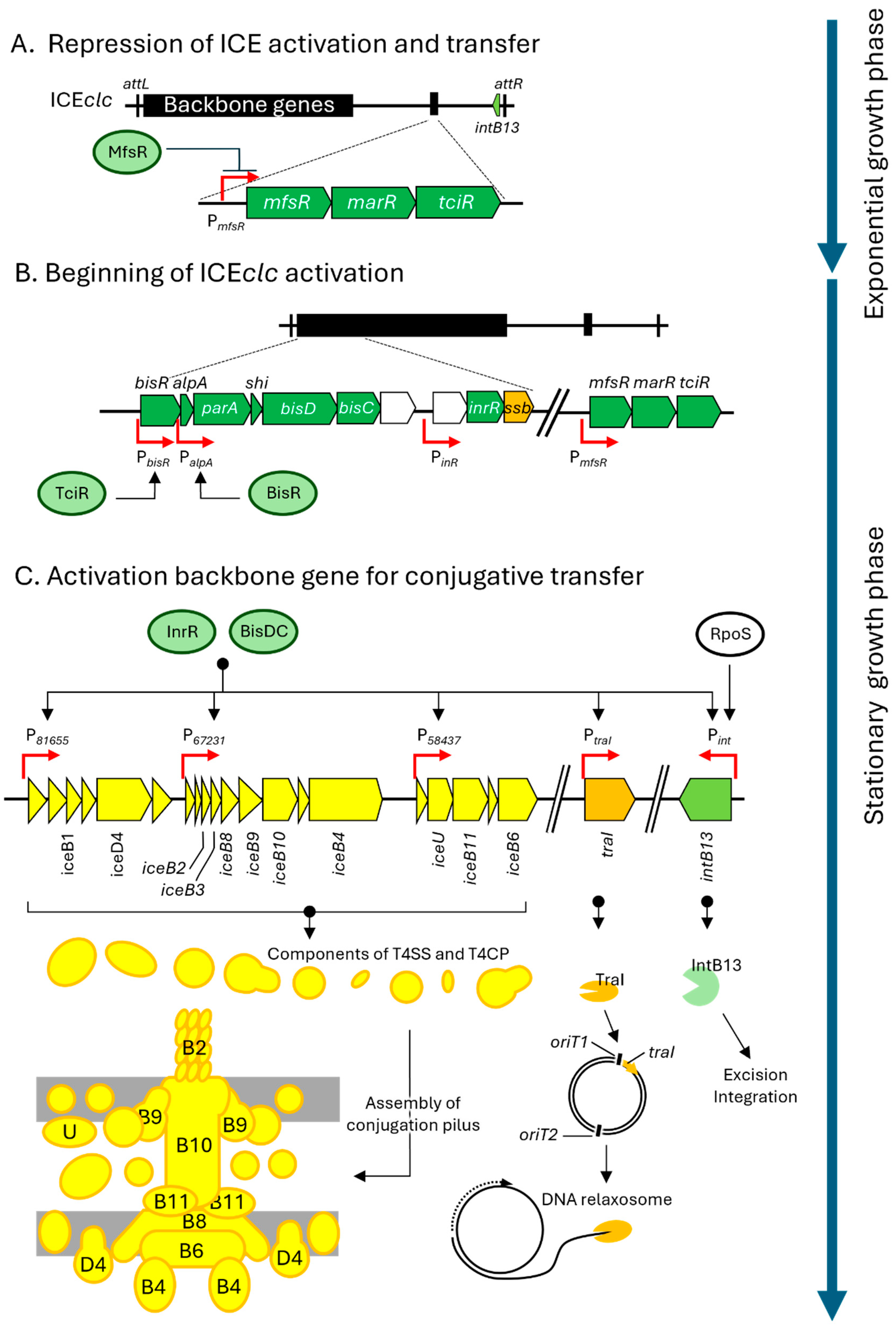 Microorganisms 13 01803 g002a