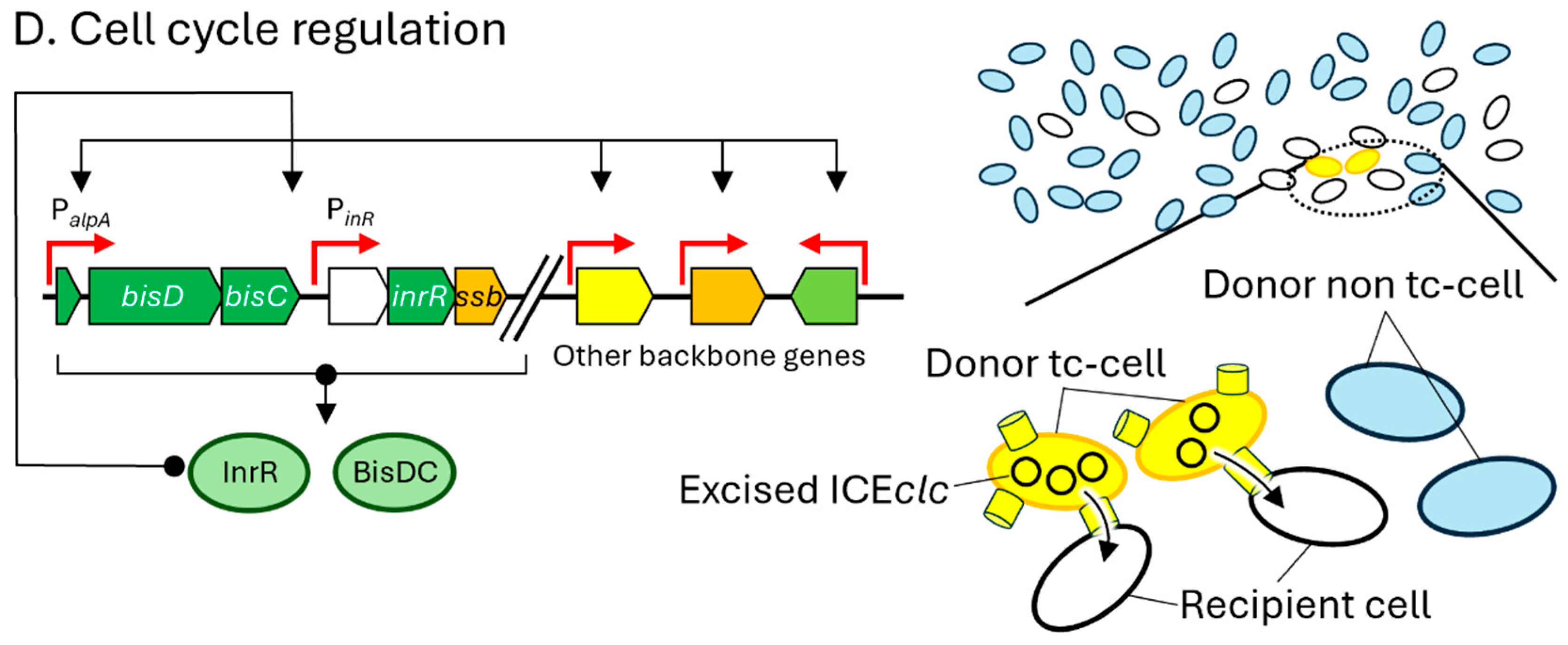 Microorganisms 13 01803 g002b
