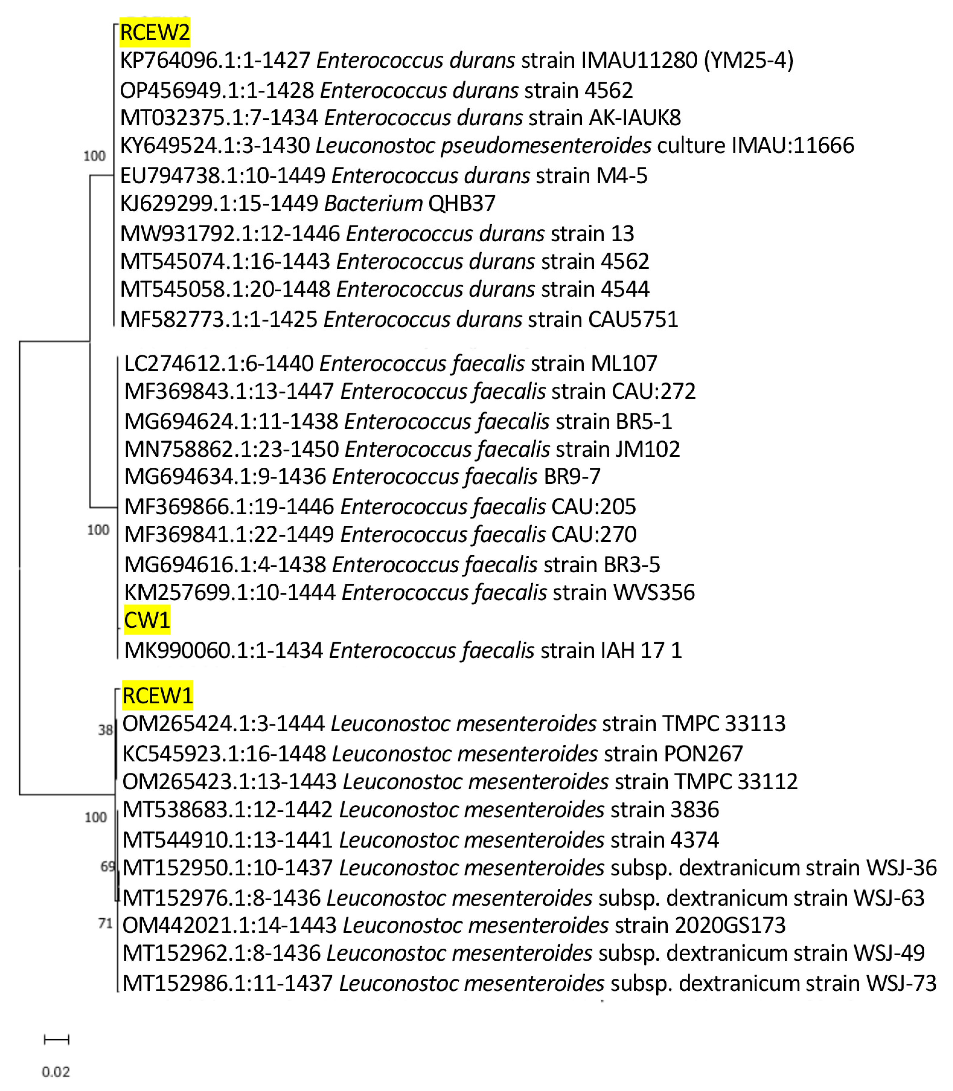 Microorganisms 13 01804 g002