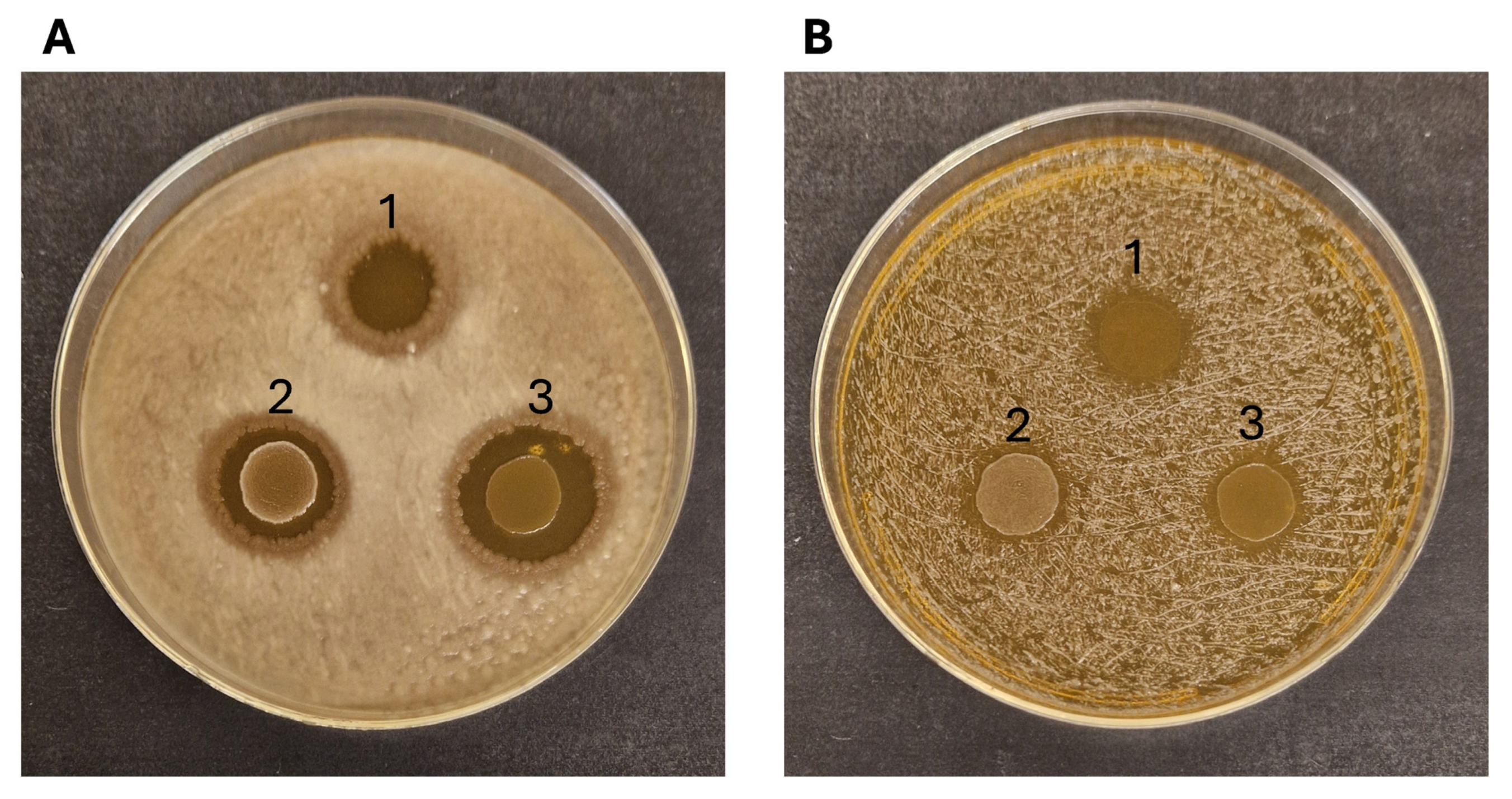 Microorganisms 13 01804 g005