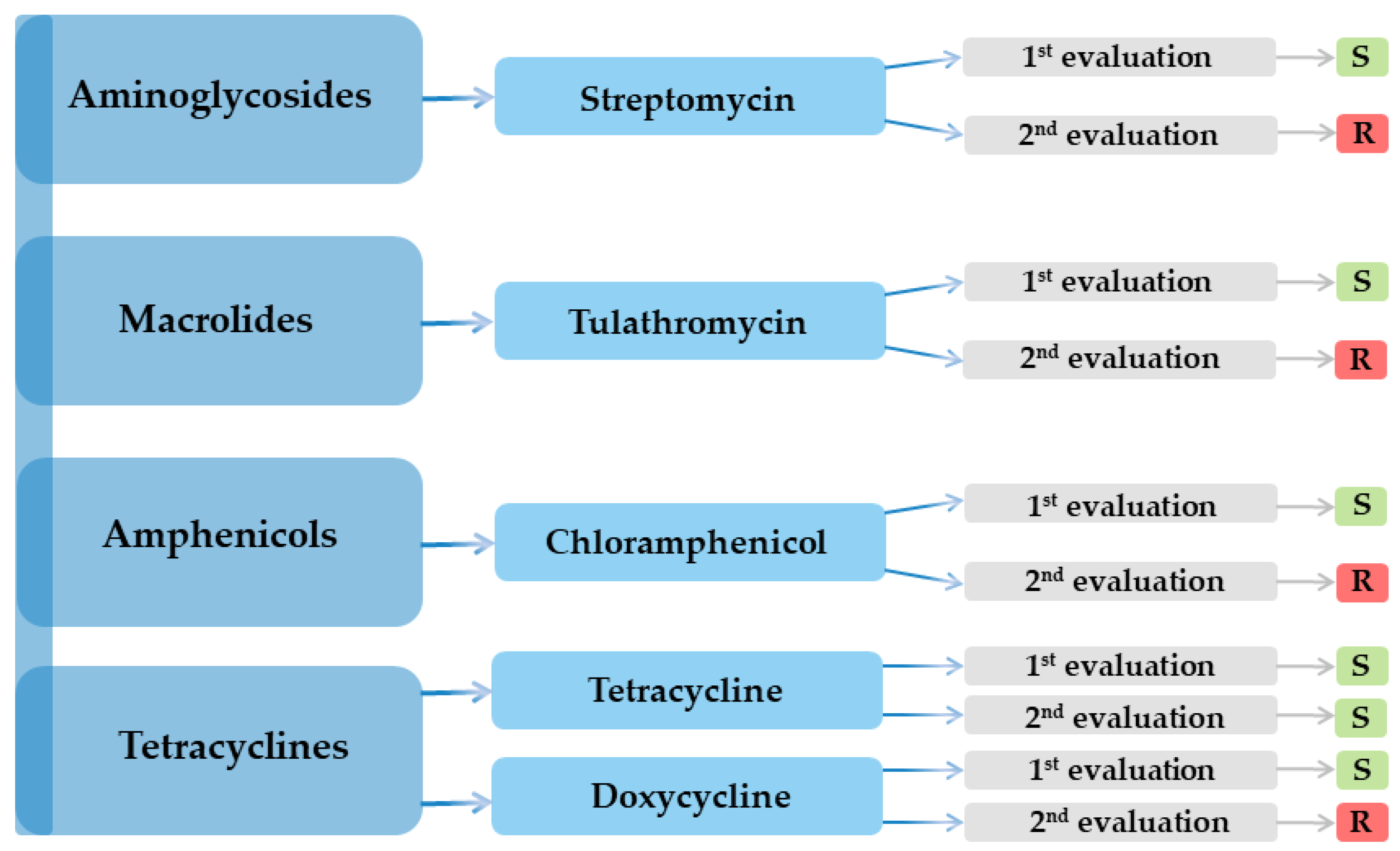 Microorganisms 13 01807 g001