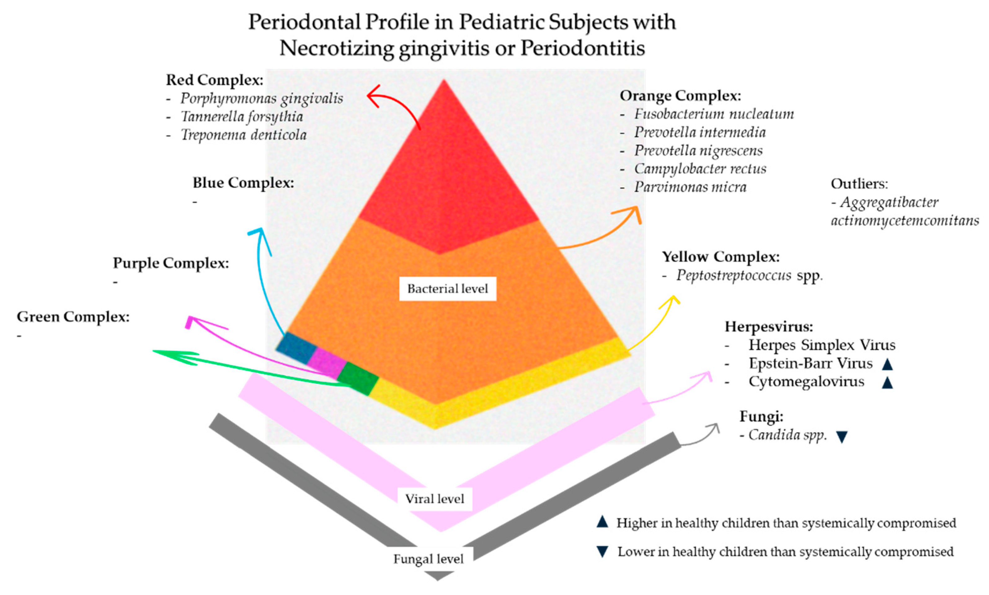 Microorganisms 13 01813 g004