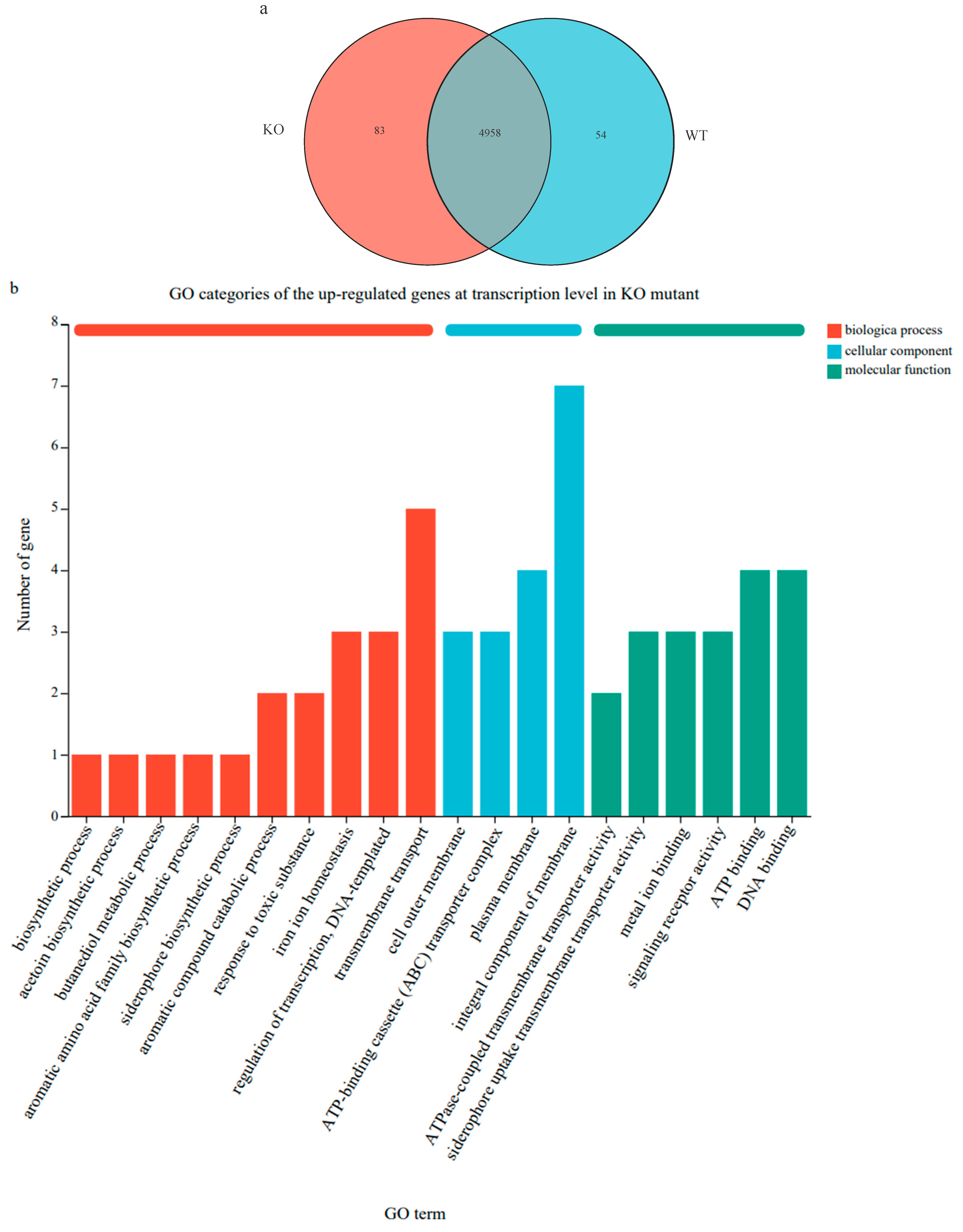 Microorganisms 13 01824 g005a