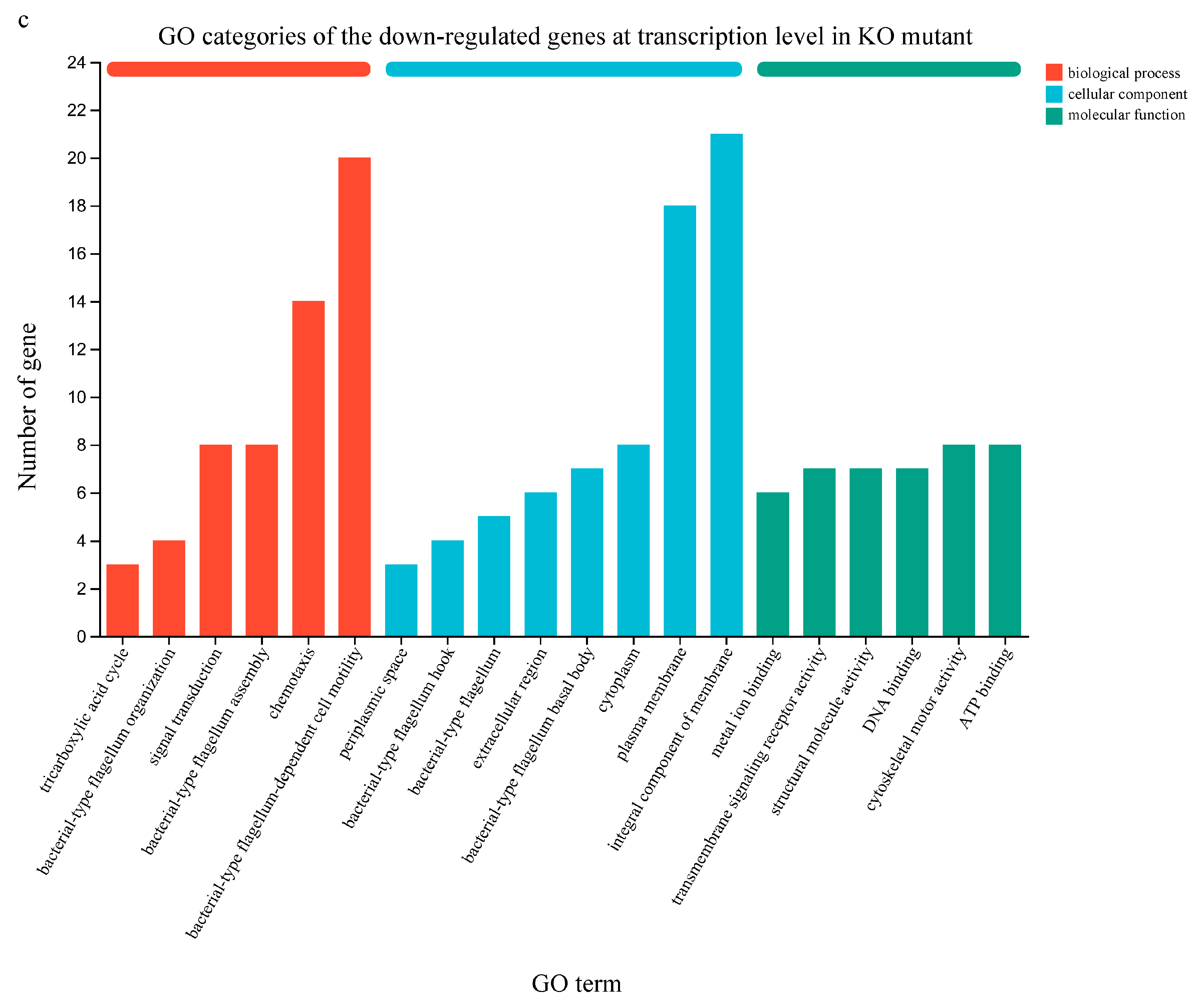 Microorganisms 13 01824 g005b