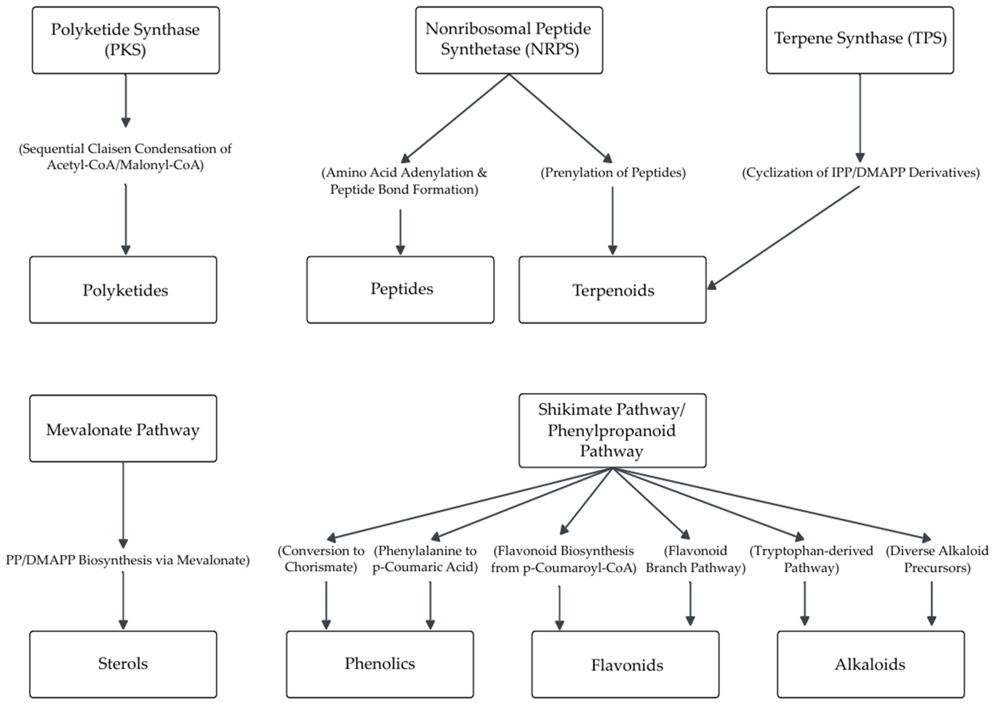 Microorganisms 13 01826 g004