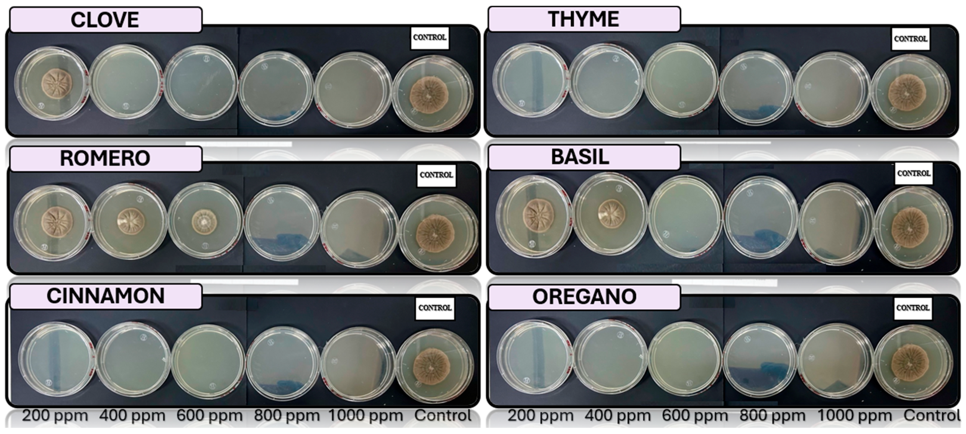 Microorganisms 13 01827 g005 Microorganisms 13 01827 g005