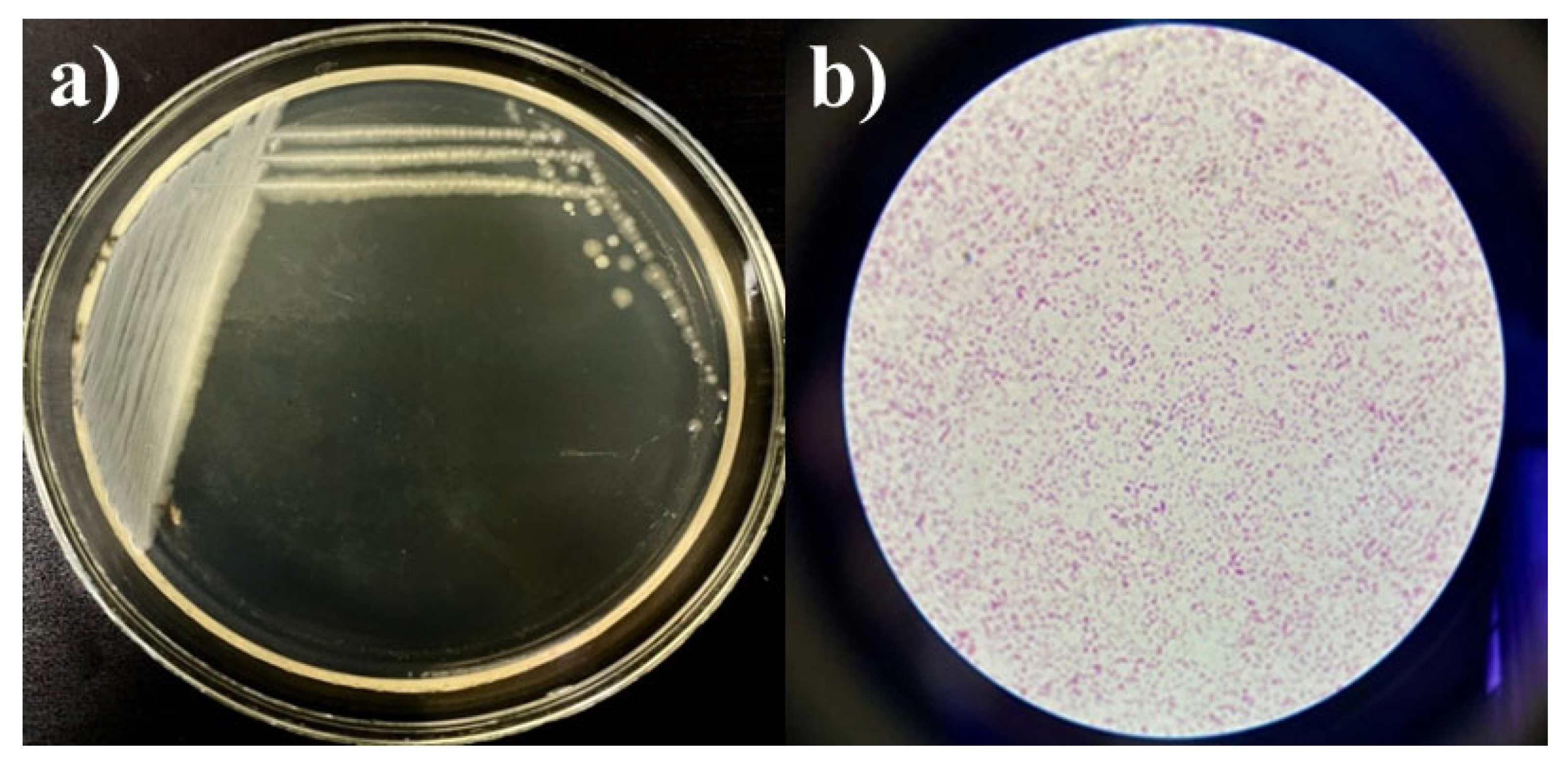 Microorganisms 13 01831 g004