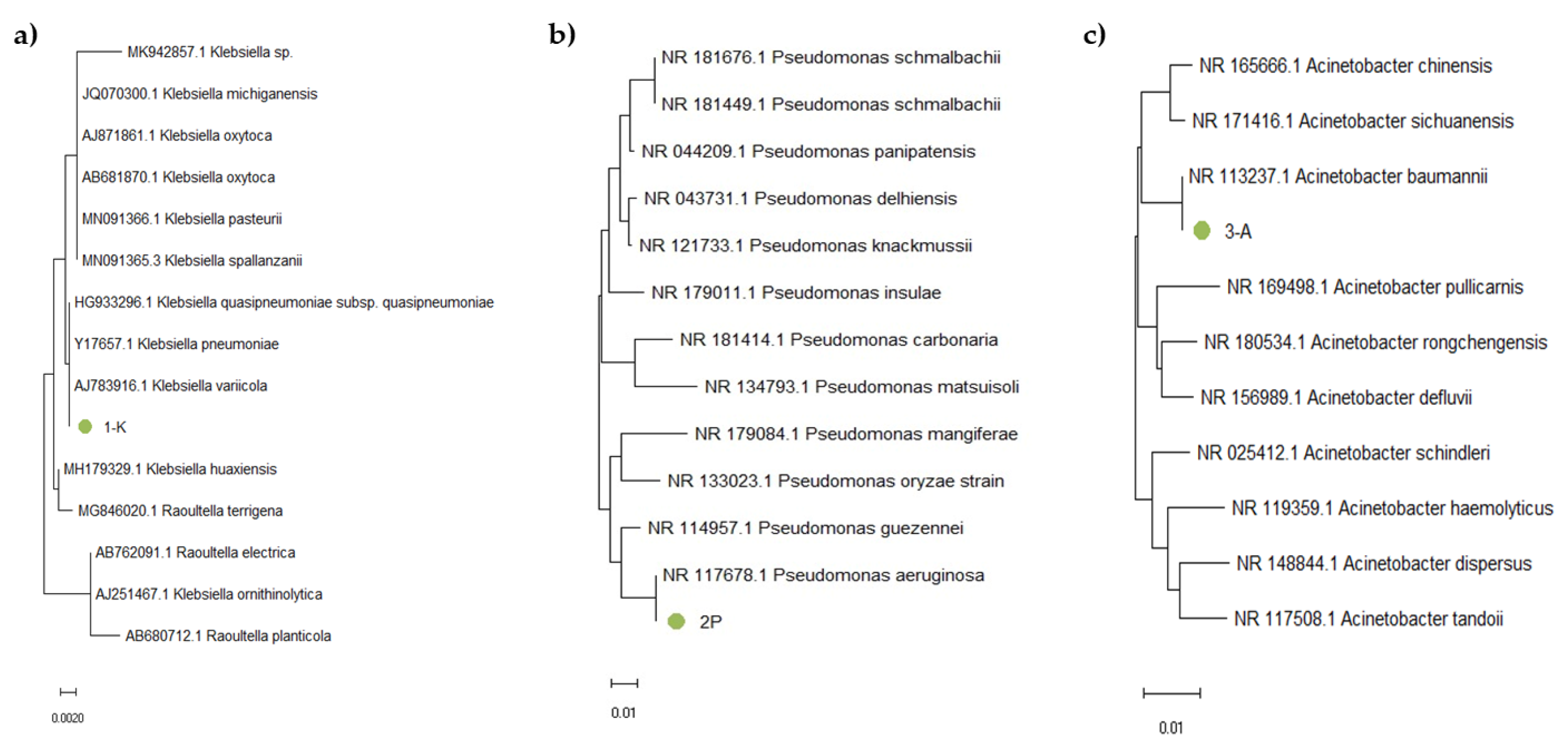 Microorganisms 13 01831 g006