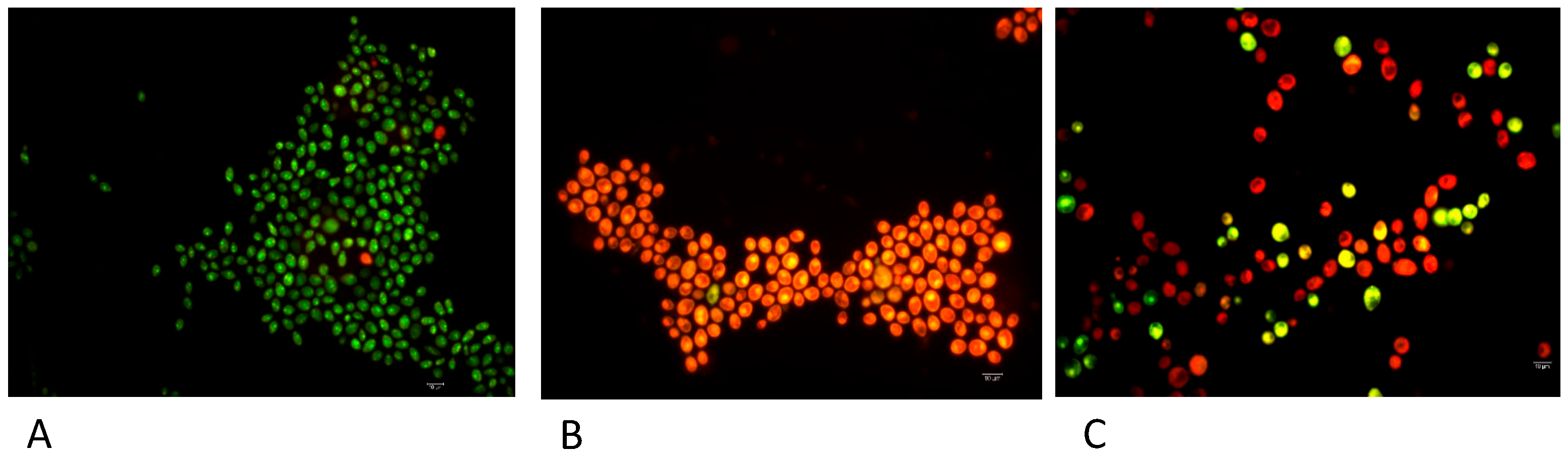 Microorganisms 13 01835 g002 Microorganisms 13 01835 g002