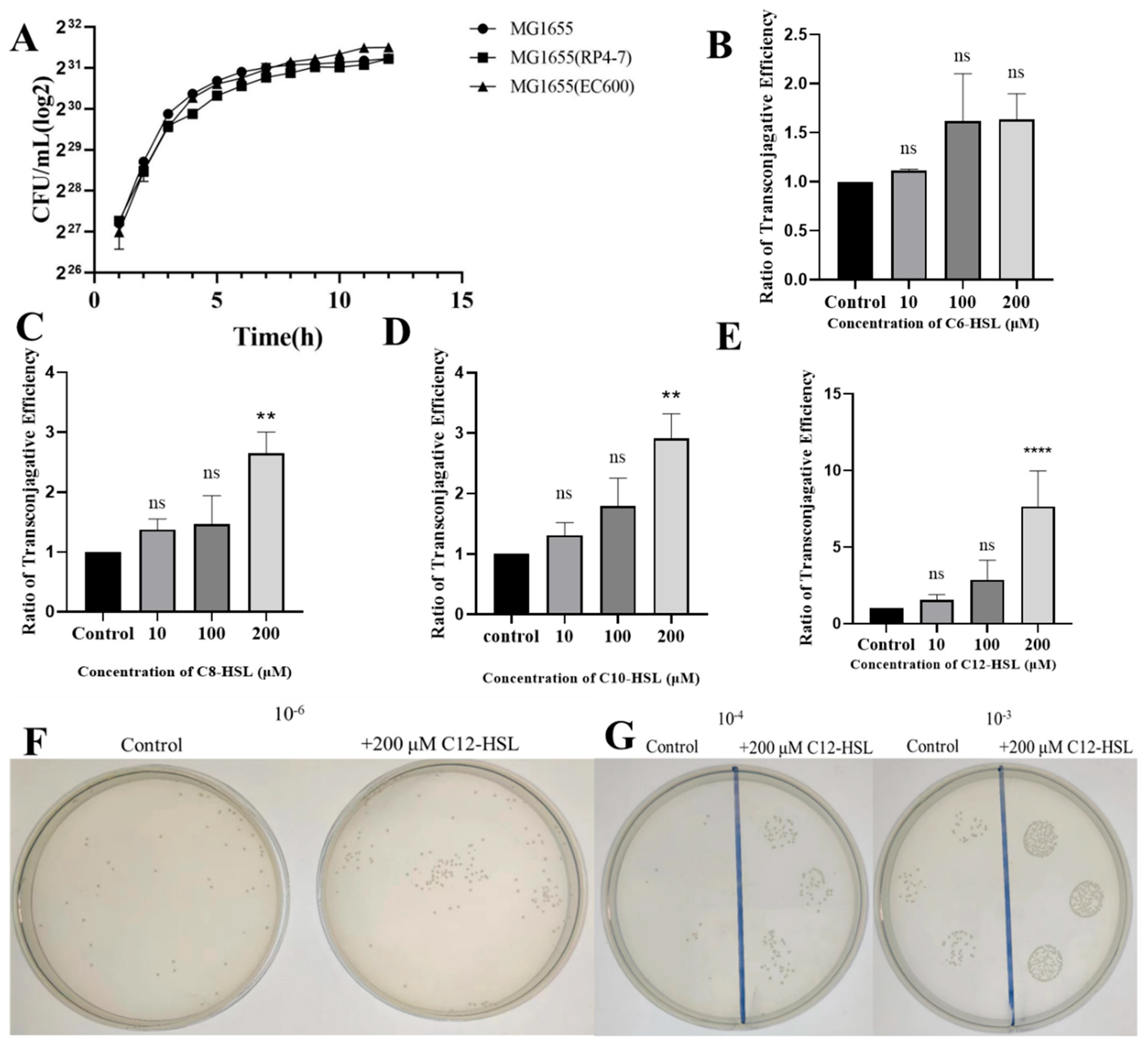 Microorganisms 13 01837 g001 Microorganisms 13 01837 g001