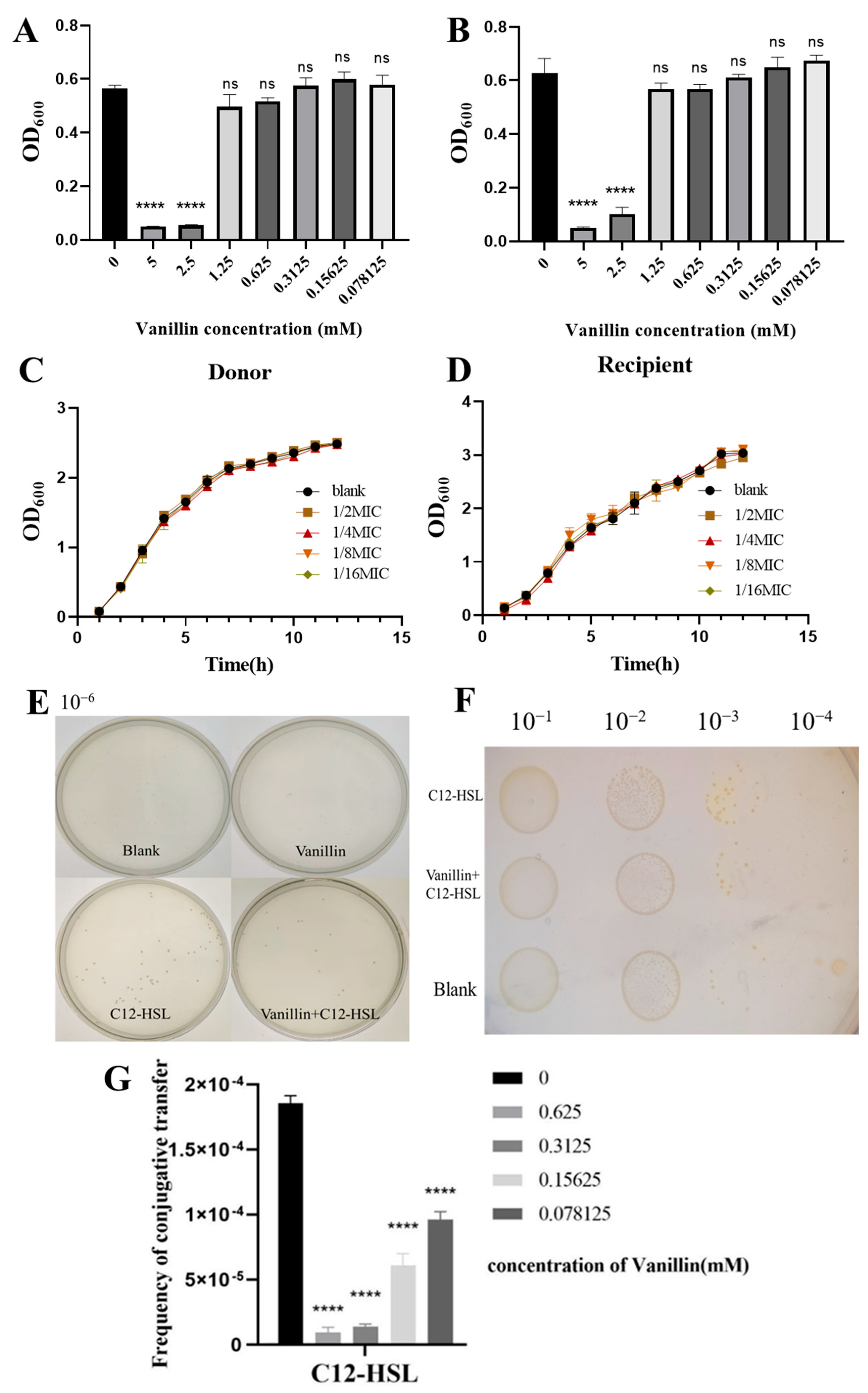 Microorganisms 13 01837 g002 Microorganisms 13 01837 g002