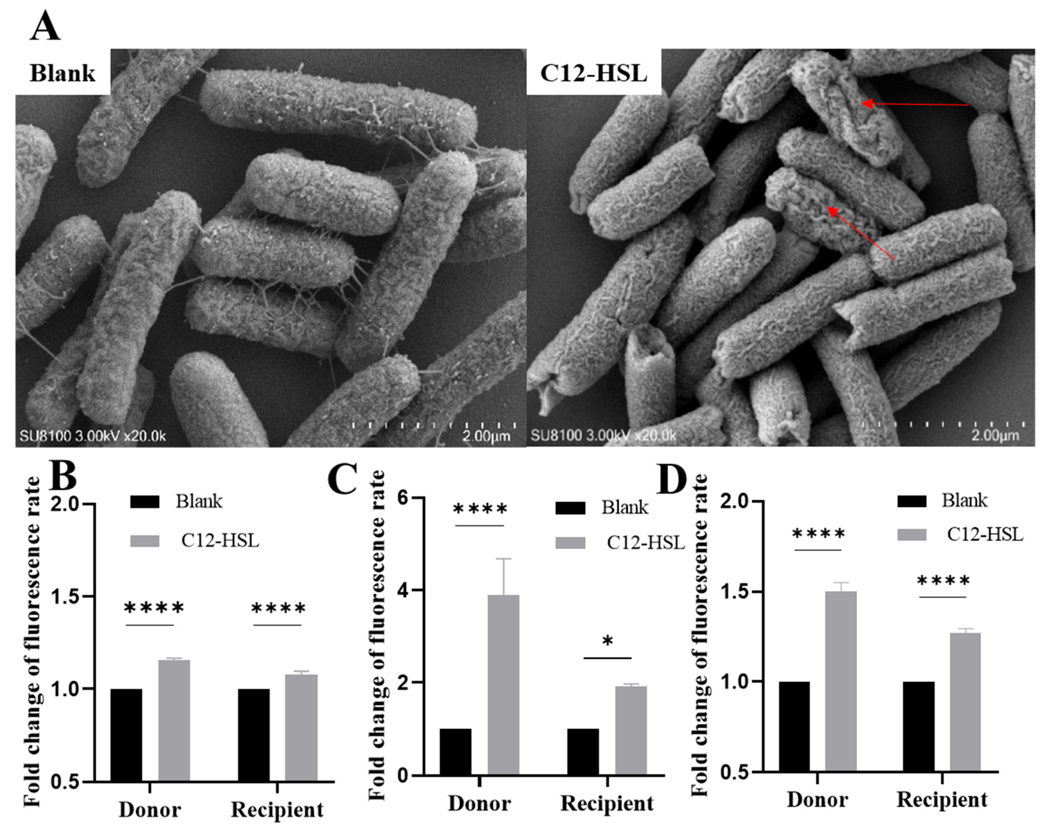 Microorganisms 13 01837 g003 Microorganisms 13 01837 g003