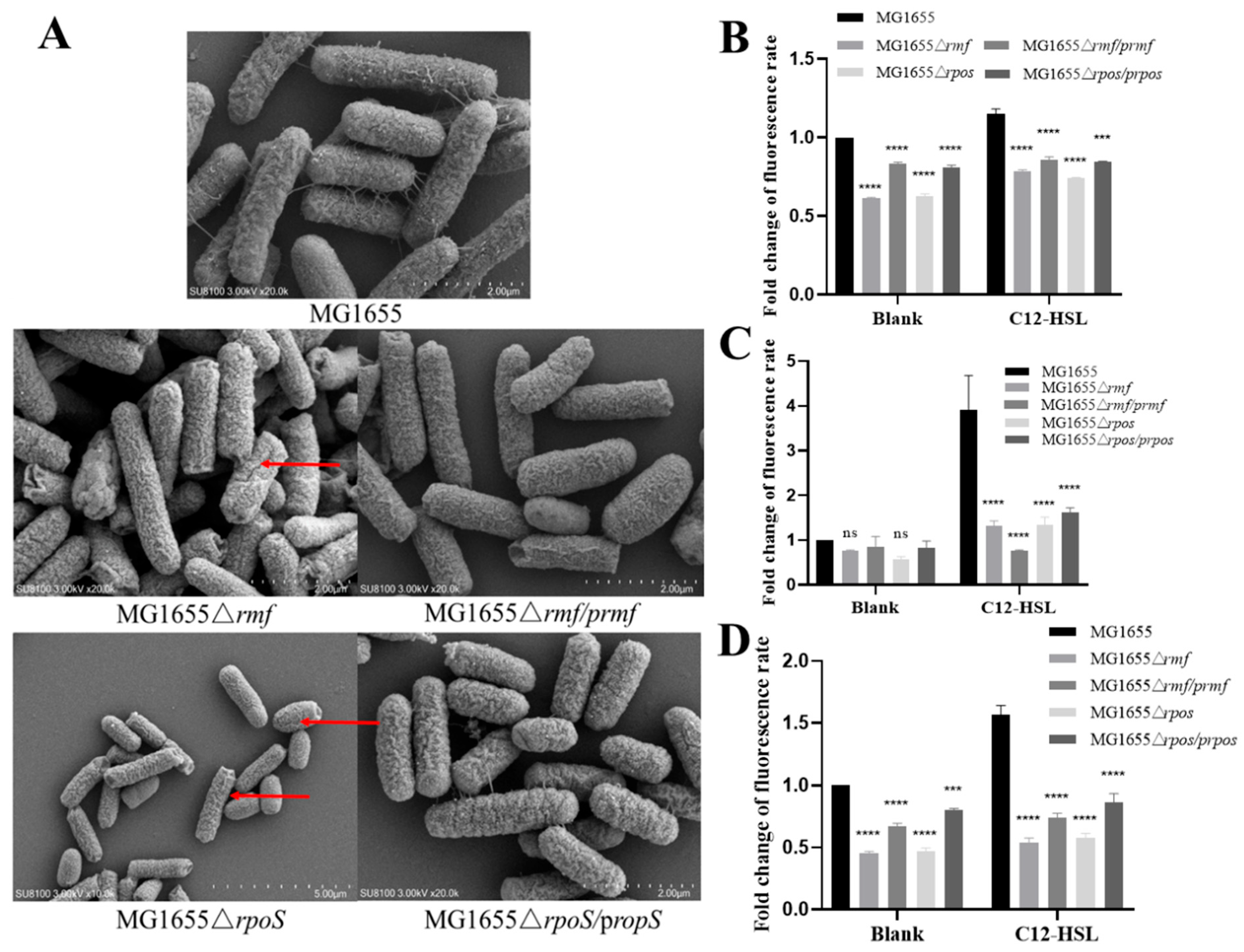 Microorganisms 13 01837 g006 Microorganisms 13 01837 g006