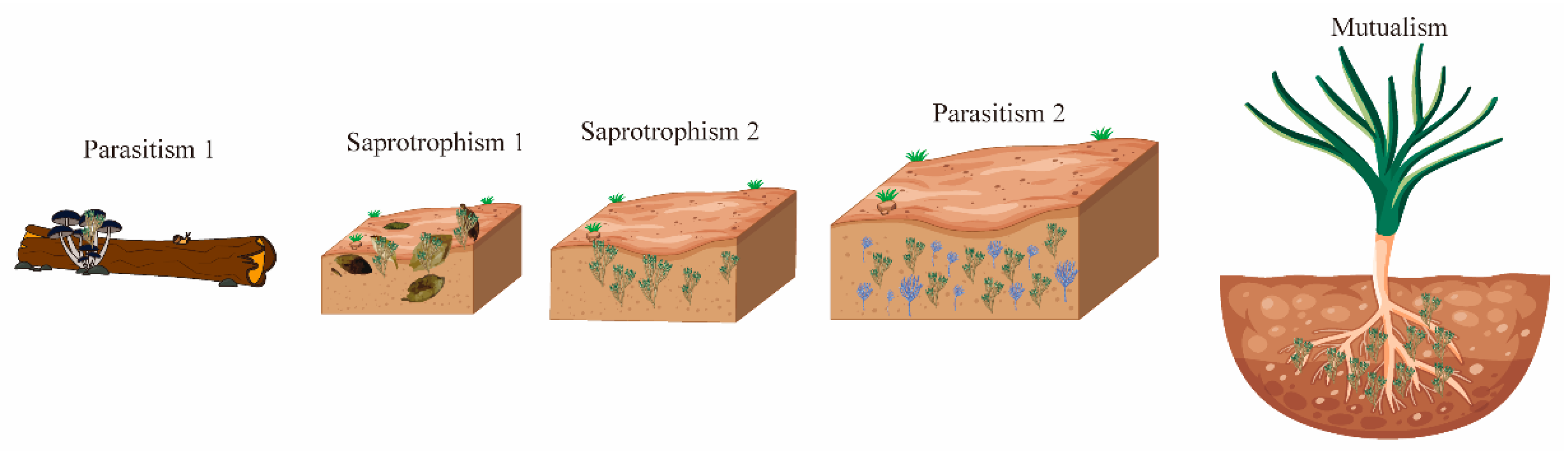 Microorganisms 13 01840 g001